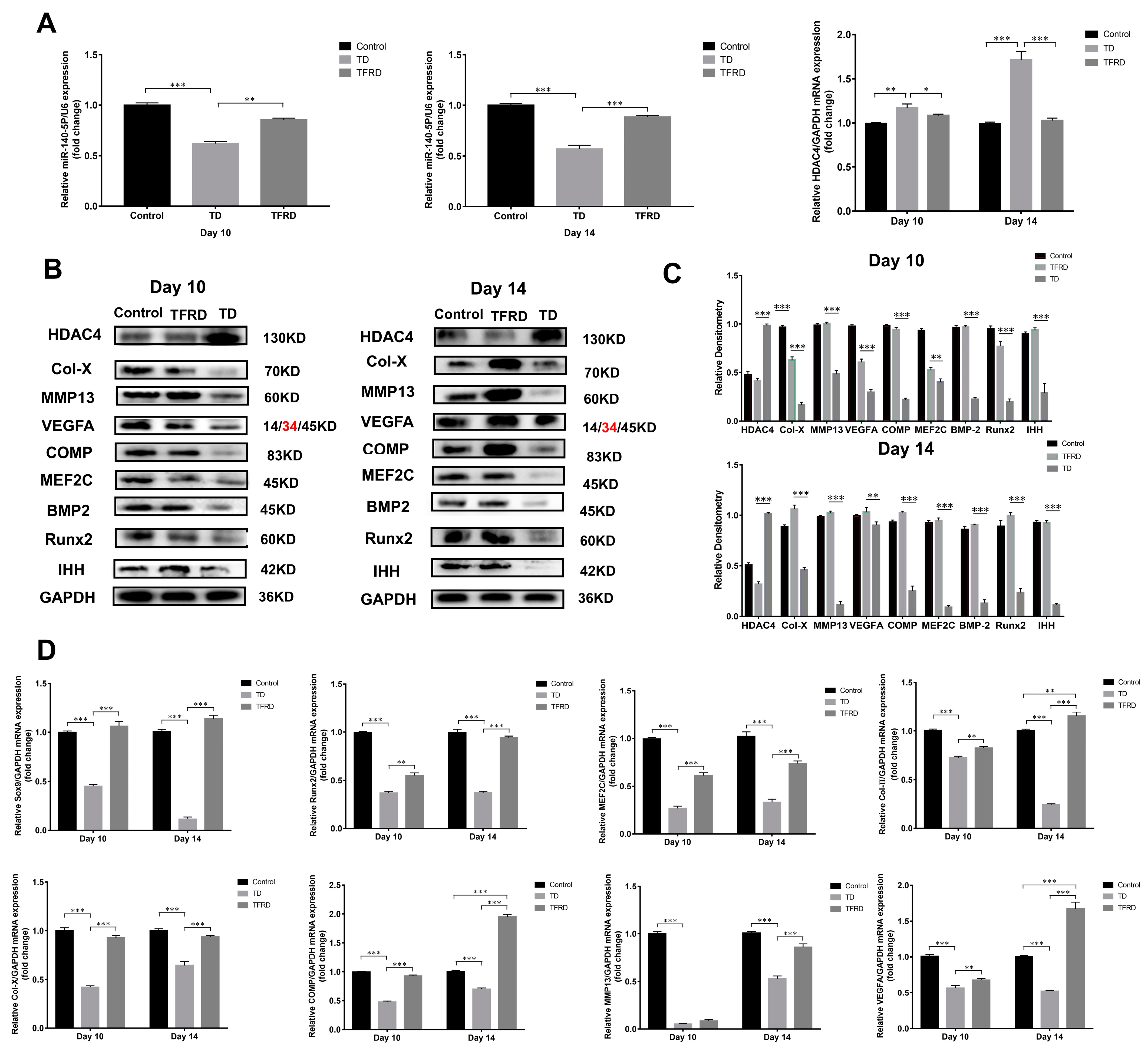 Ijms 24 10975 g010 Ijms 24 10975 g010