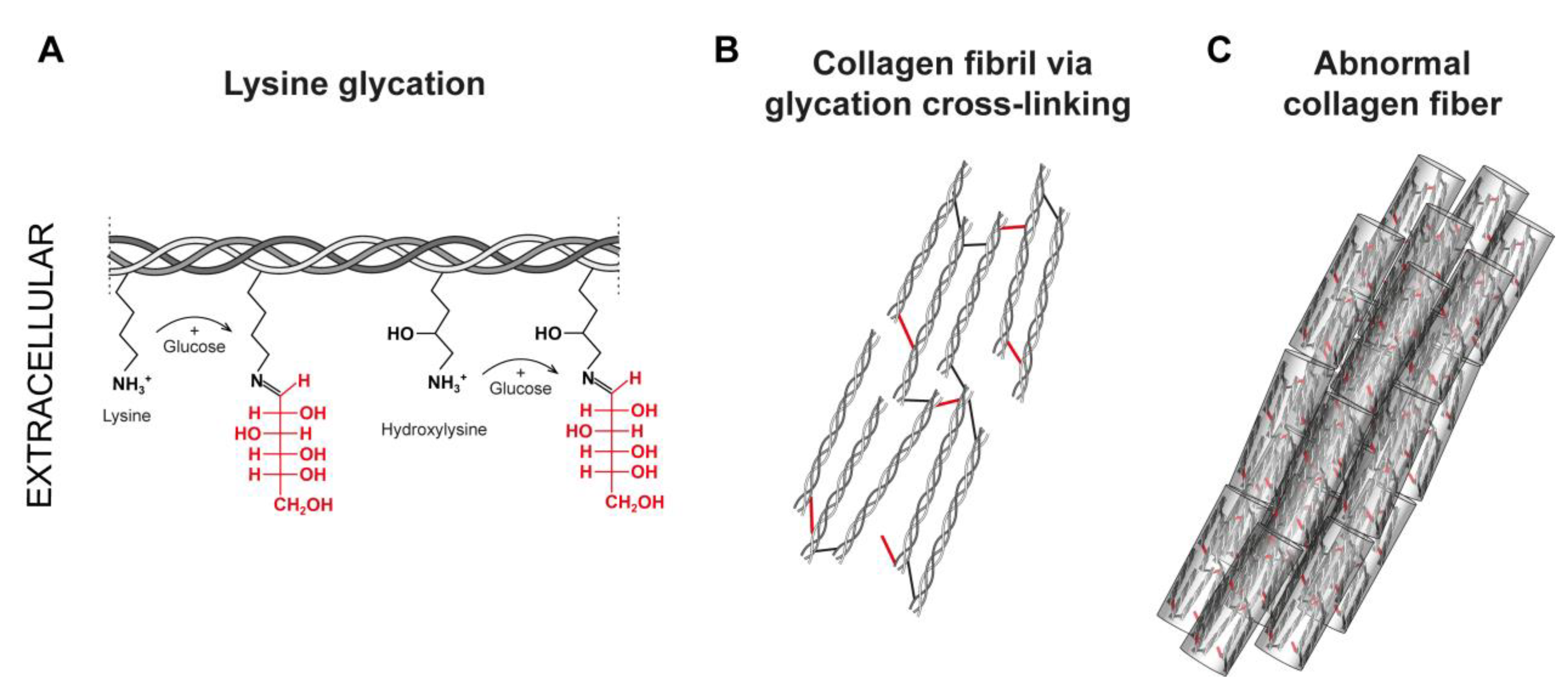 Ijms 24 10985 g003 Ijms 24 10985 g003