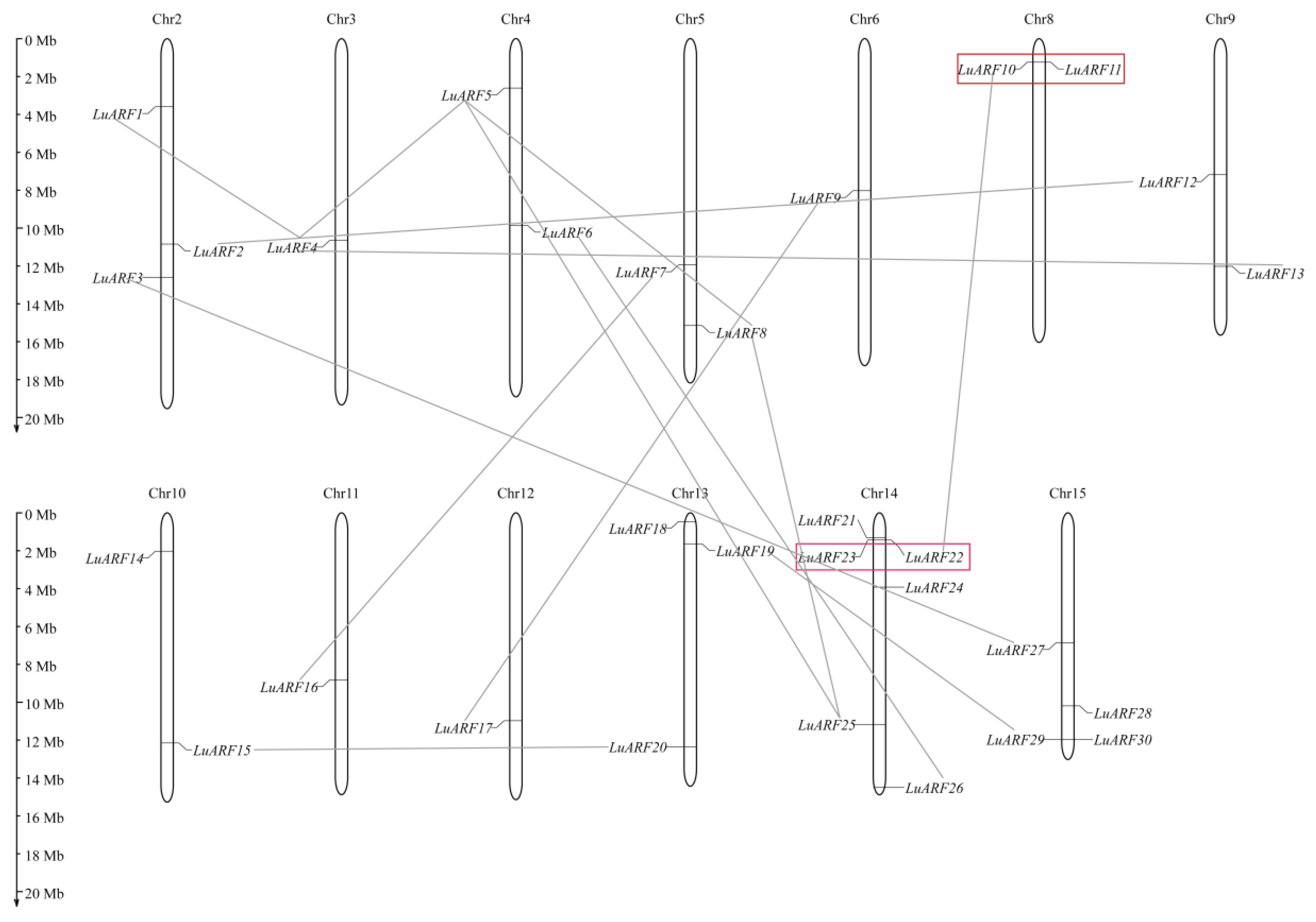 Ijms 24 11006 g003 Ijms 24 11006 g003