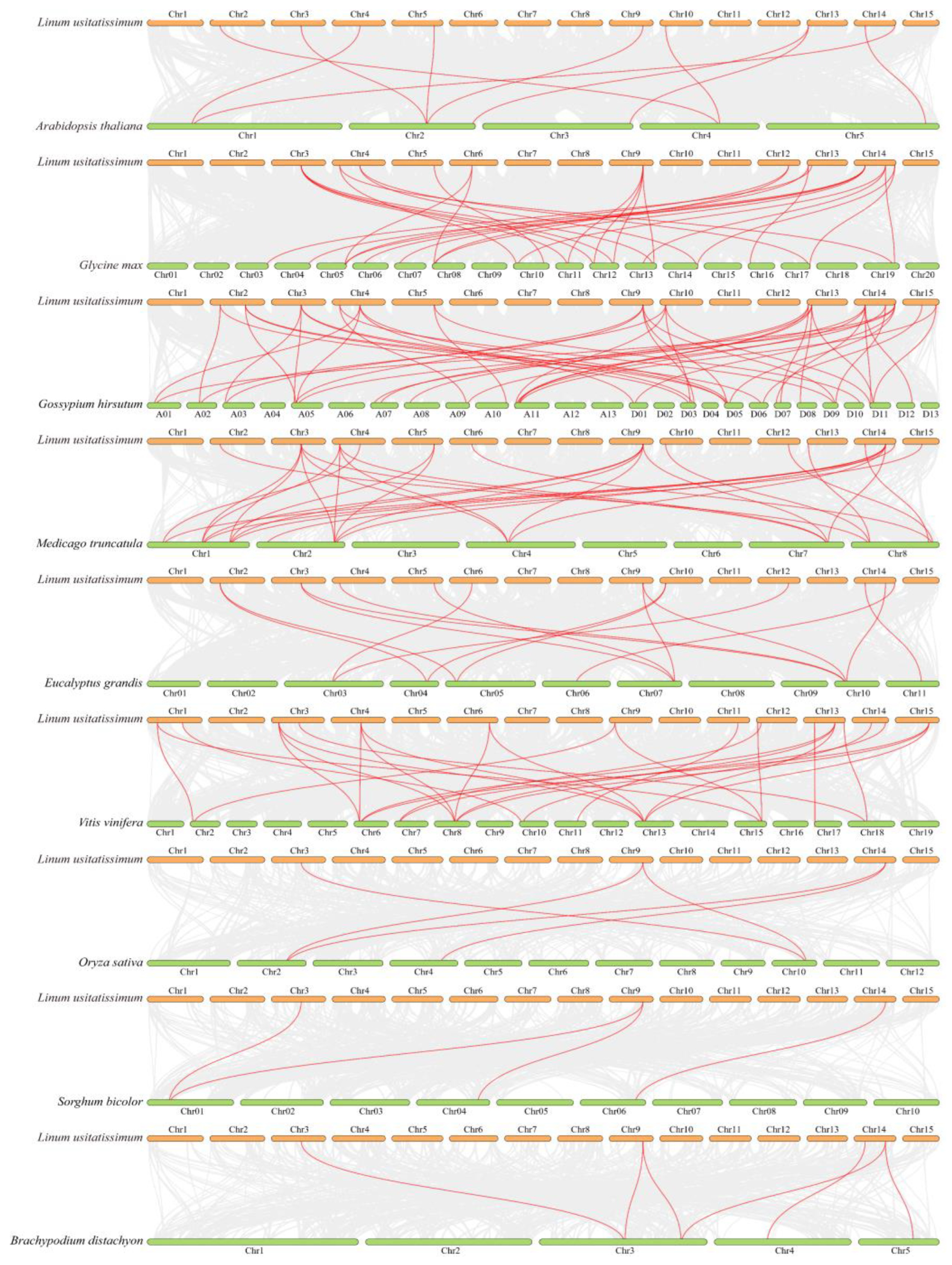 Ijms 24 11006 g004 Ijms 24 11006 g004
