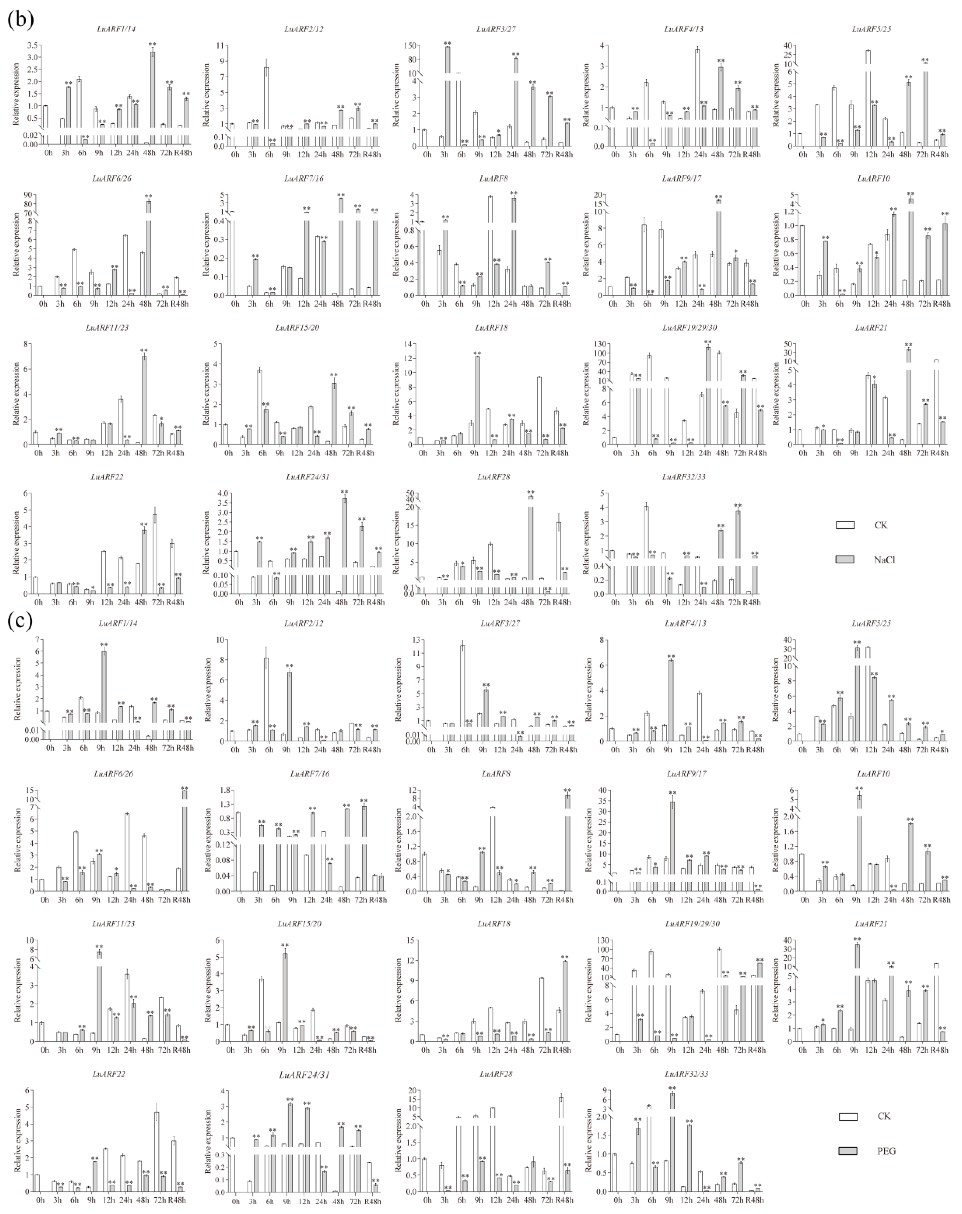 Ijms 24 11006 g007b Ijms 24 11006 g007b