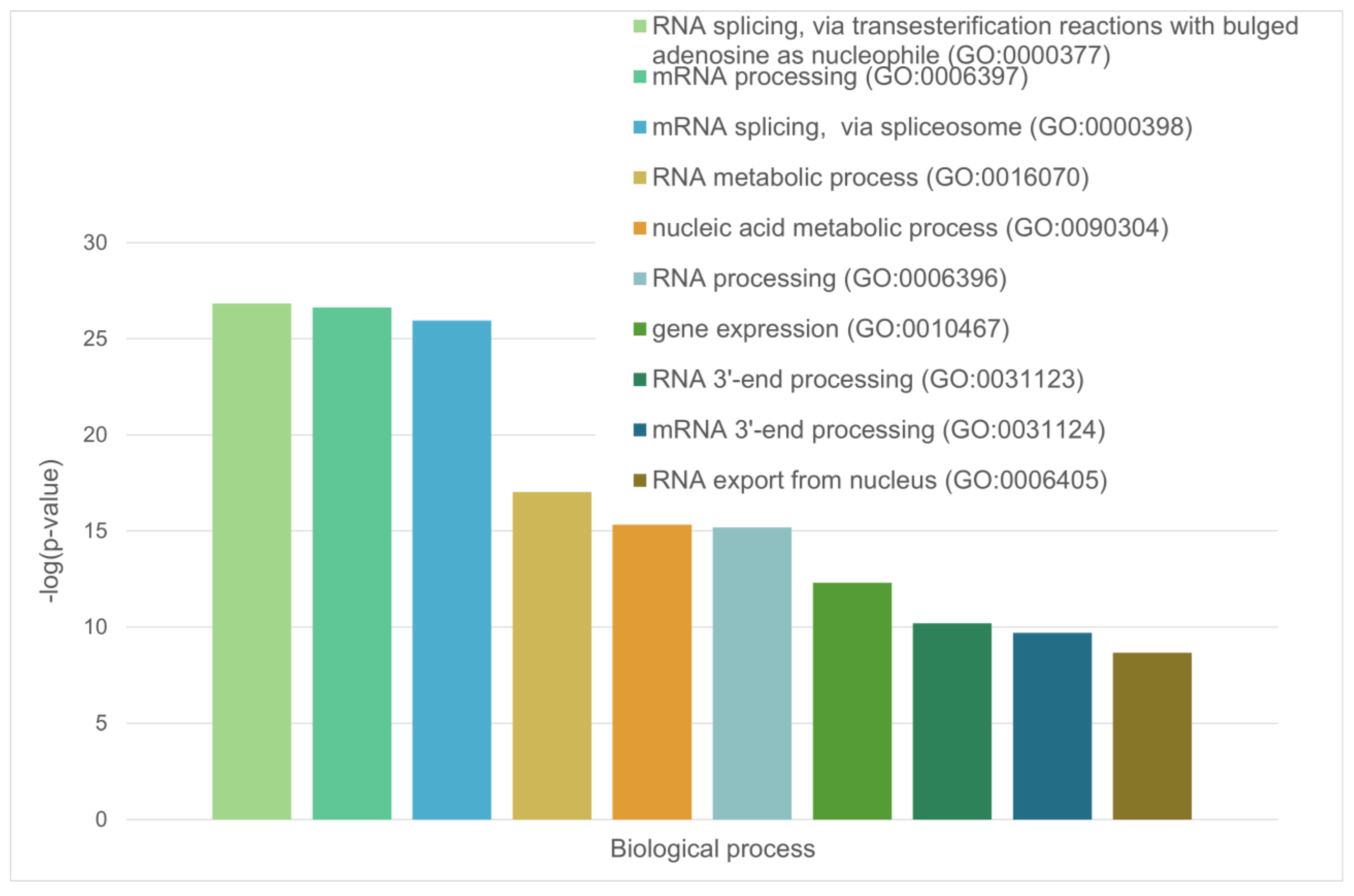 Ijms 24 11007 g010 Ijms 24 11007 g010
