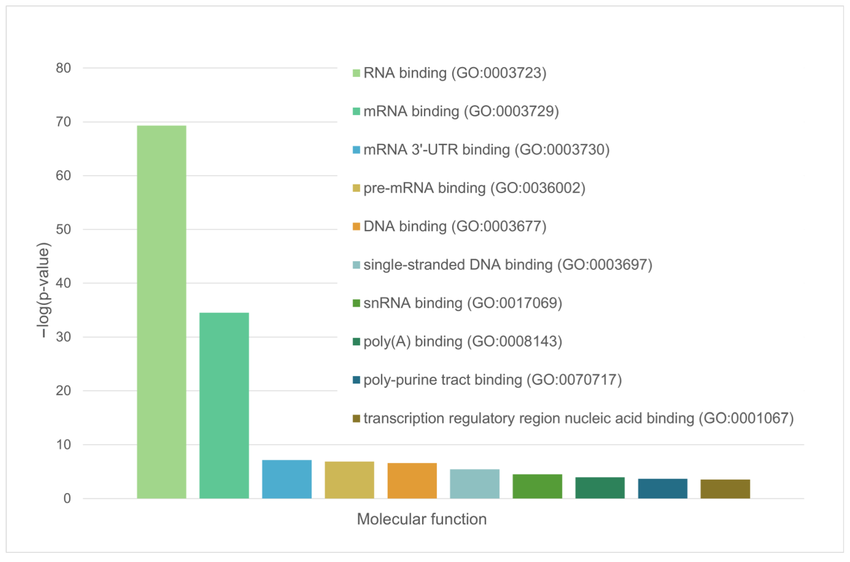 Ijms 24 11007 g013 Ijms 24 11007 g013