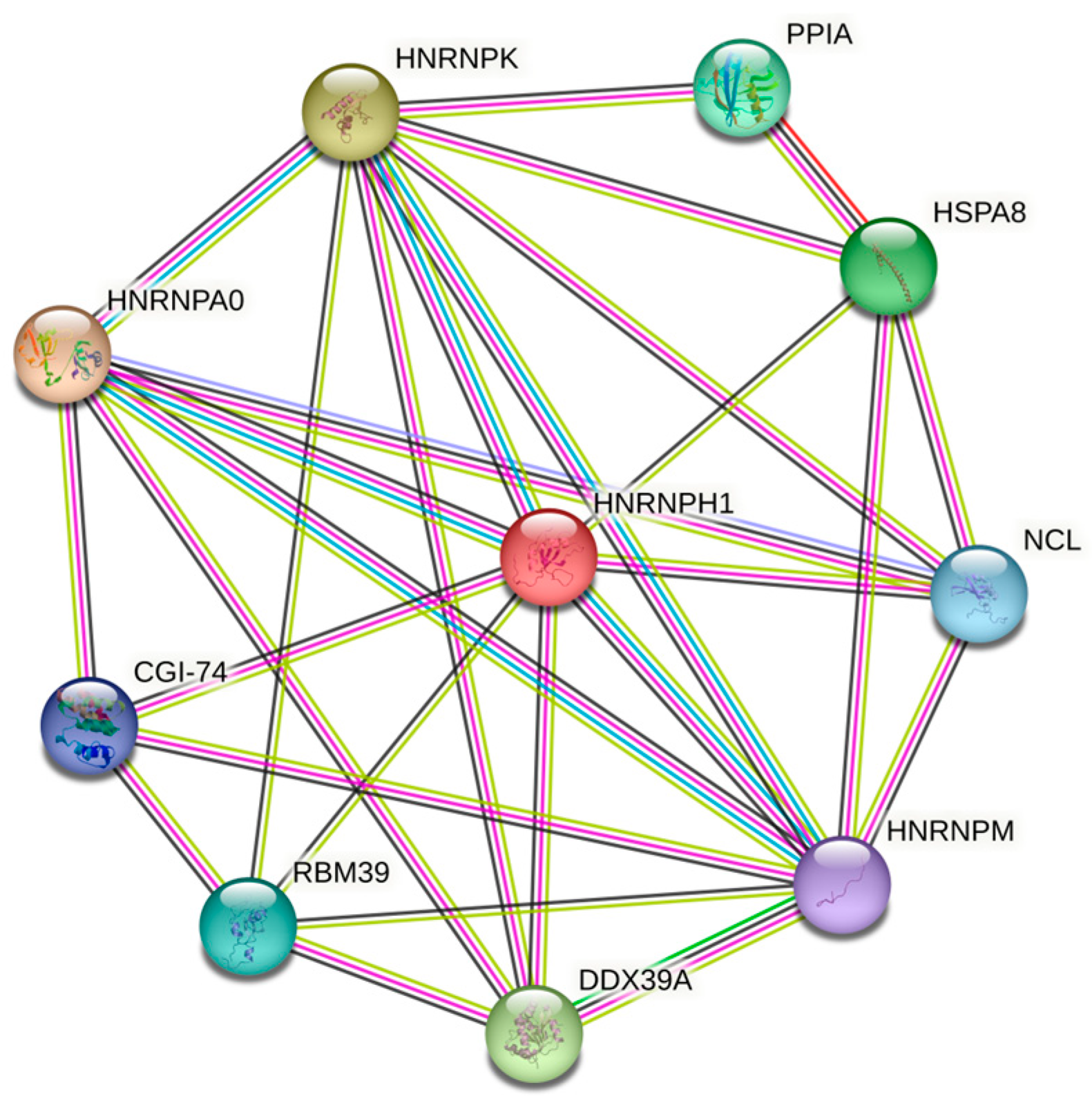 Ijms 24 11007 g020 Ijms 24 11007 g020