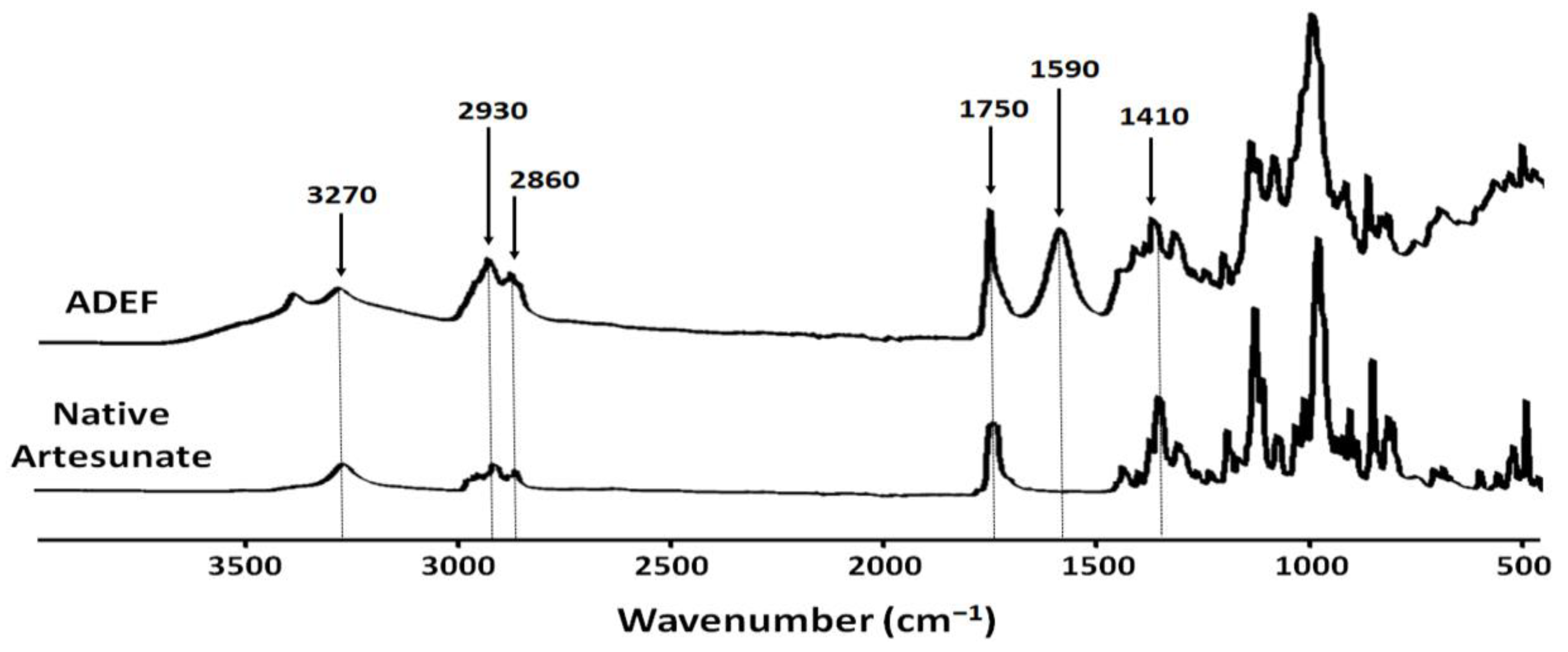 Ijms 24 11008 g002 Ijms 24 11008 g002