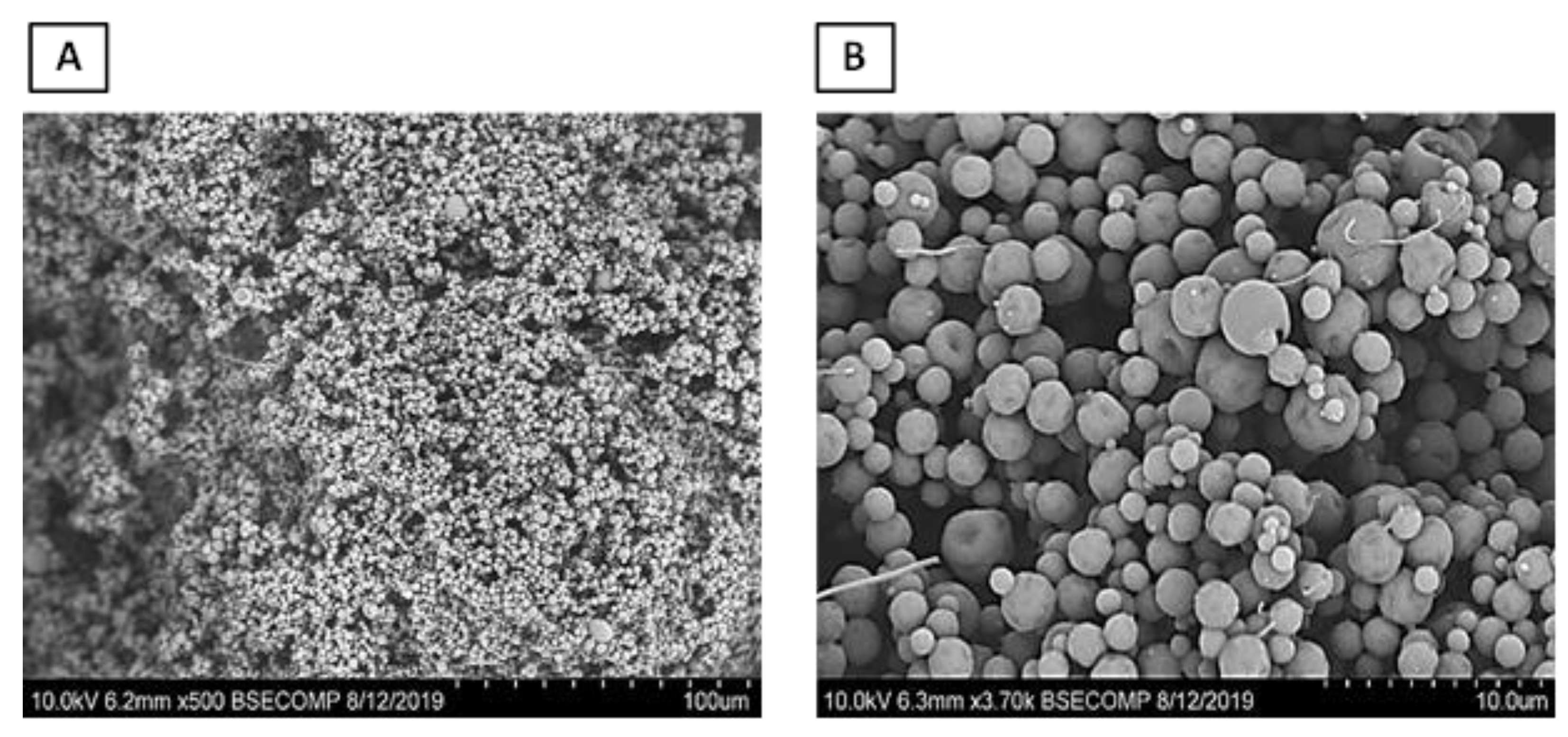 Ijms 24 11008 g004 Ijms 24 11008 g004