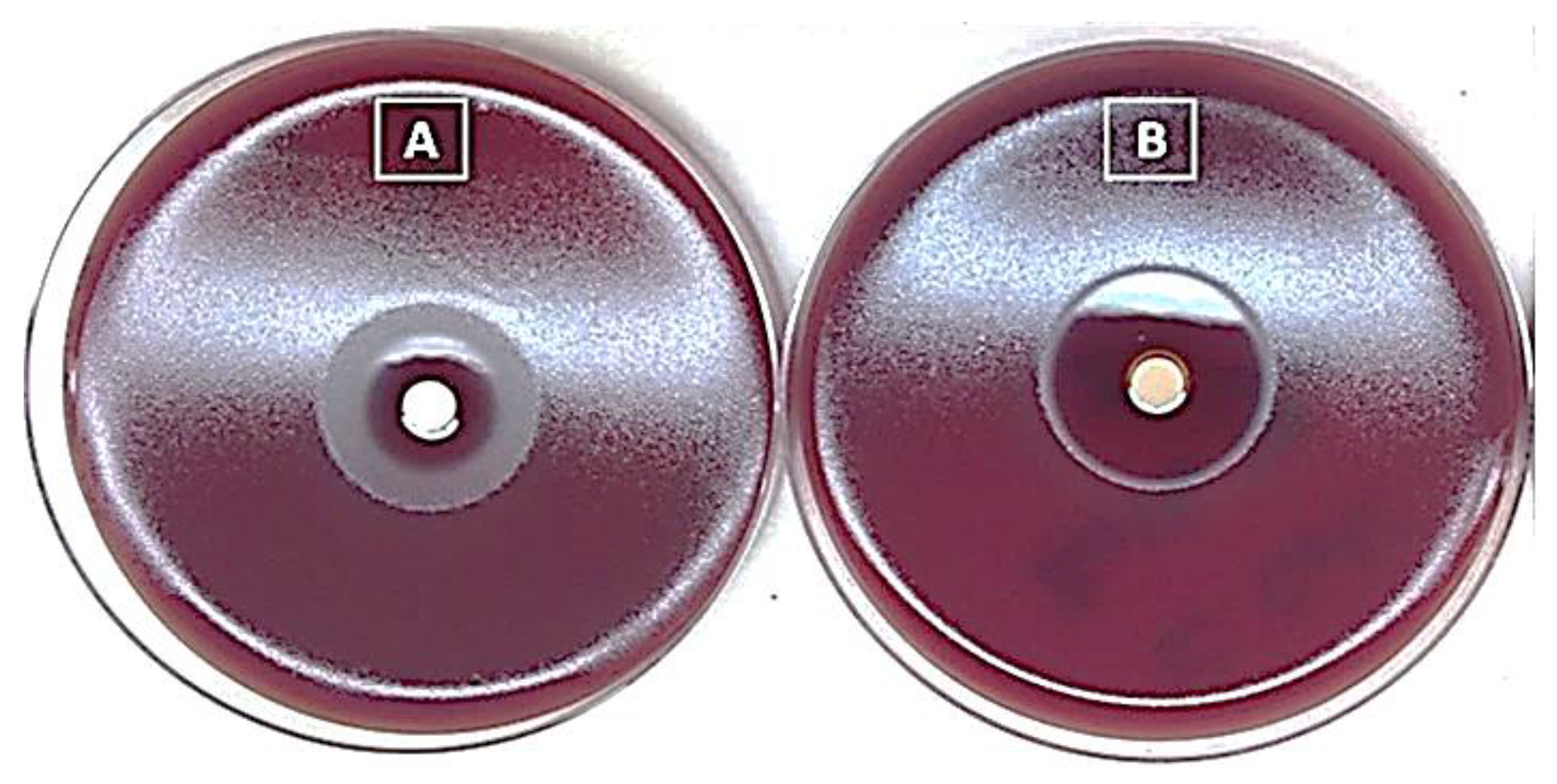 Ijms 24 11008 g005 Ijms 24 11008 g005