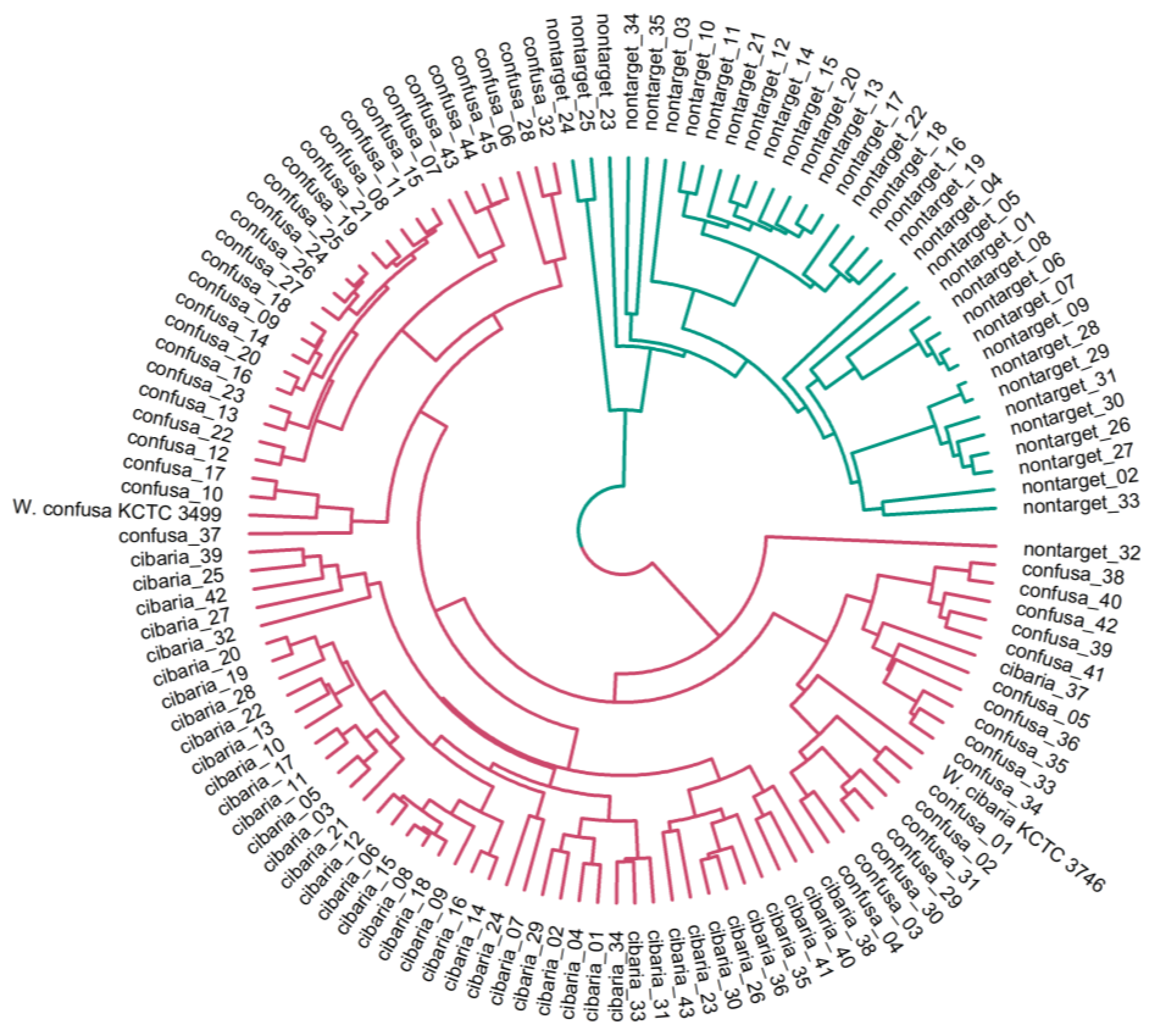Ijms 24 11009 g002 Ijms 24 11009 g002