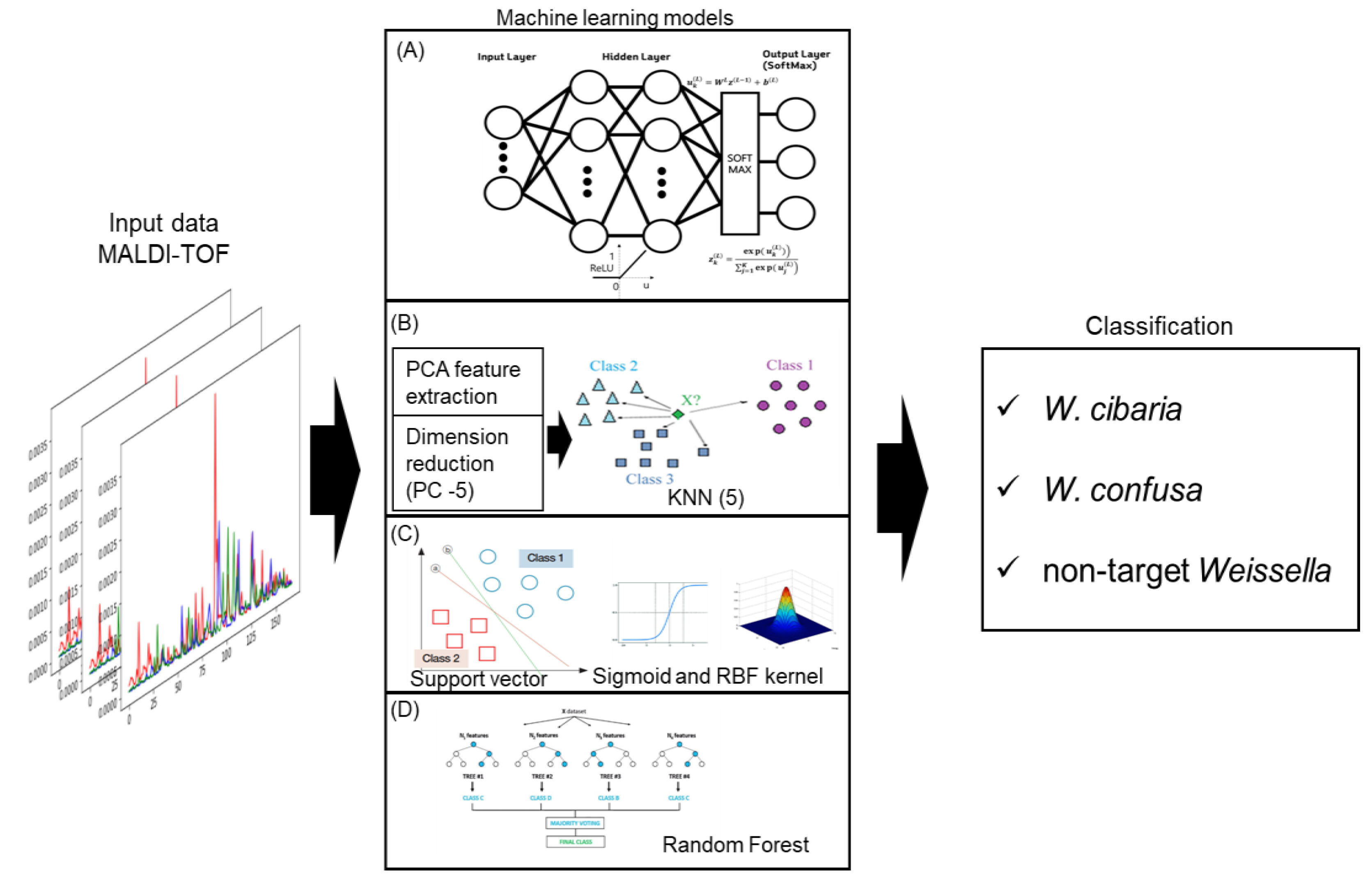 Ijms 24 11009 g006 Ijms 24 11009 g006