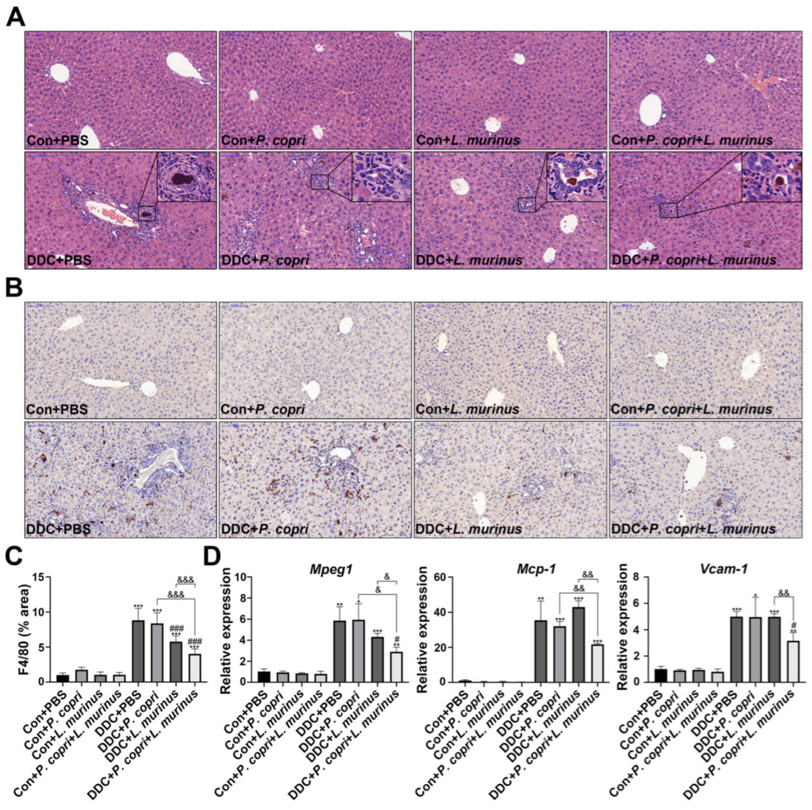 Ijms 24 11010 g002 Ijms 24 11010 g002