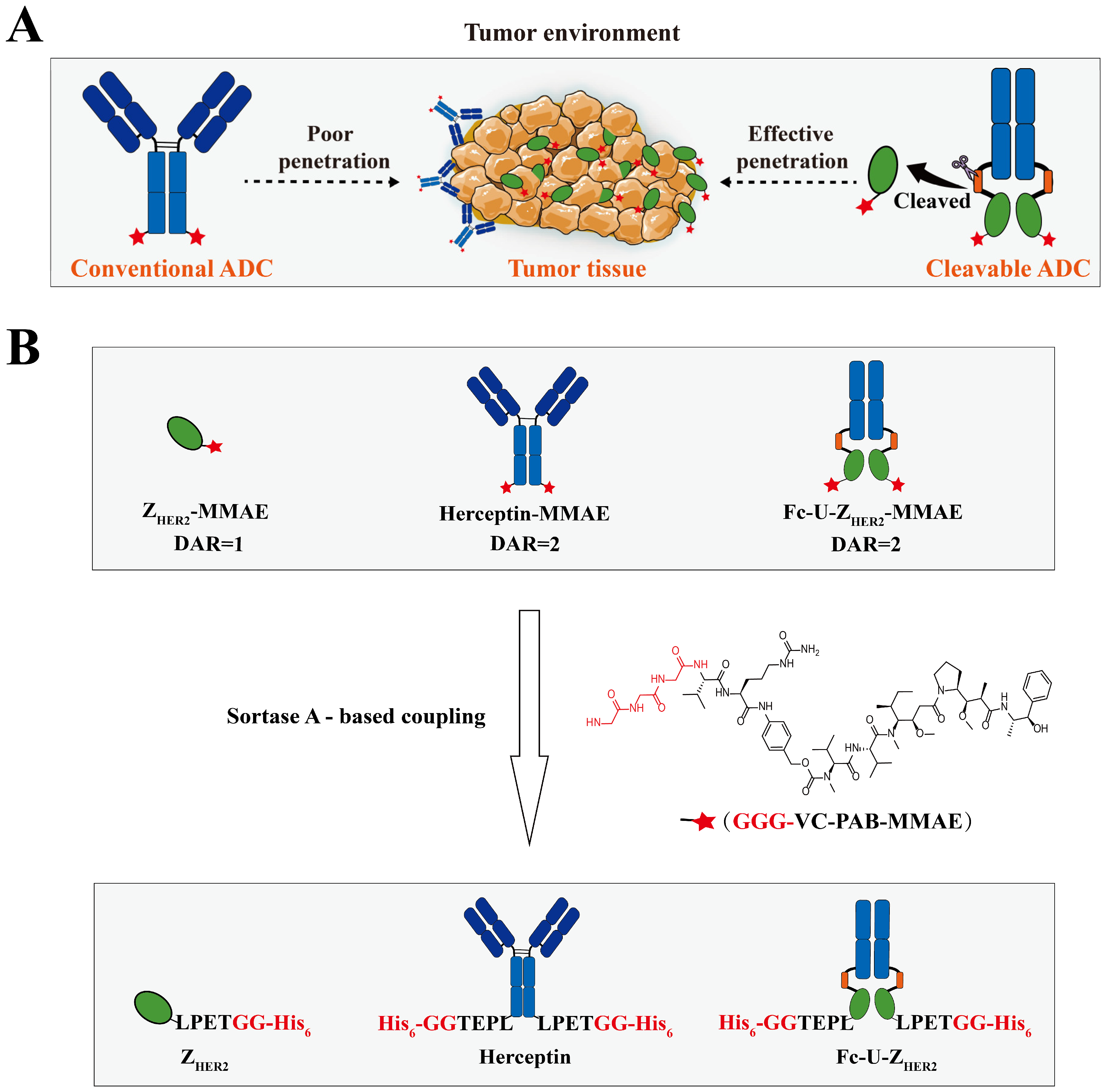 Ijms 24 11011 g001 Ijms 24 11011 g001