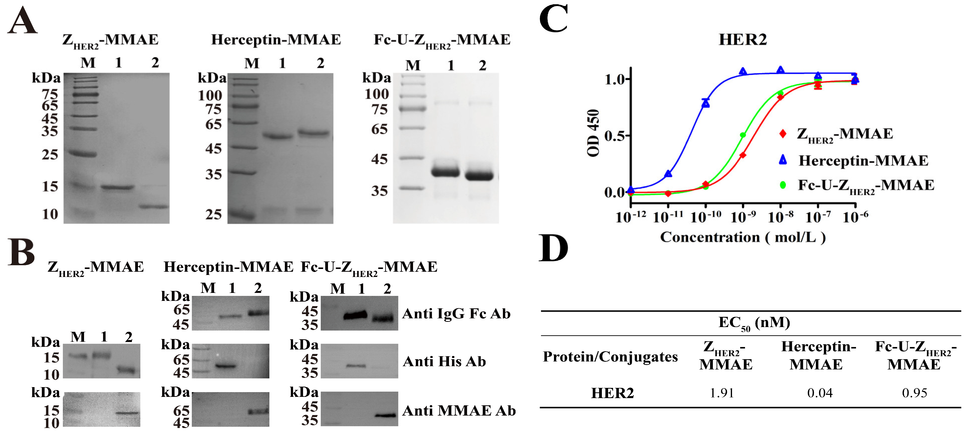 Ijms 24 11011 g002 Ijms 24 11011 g002