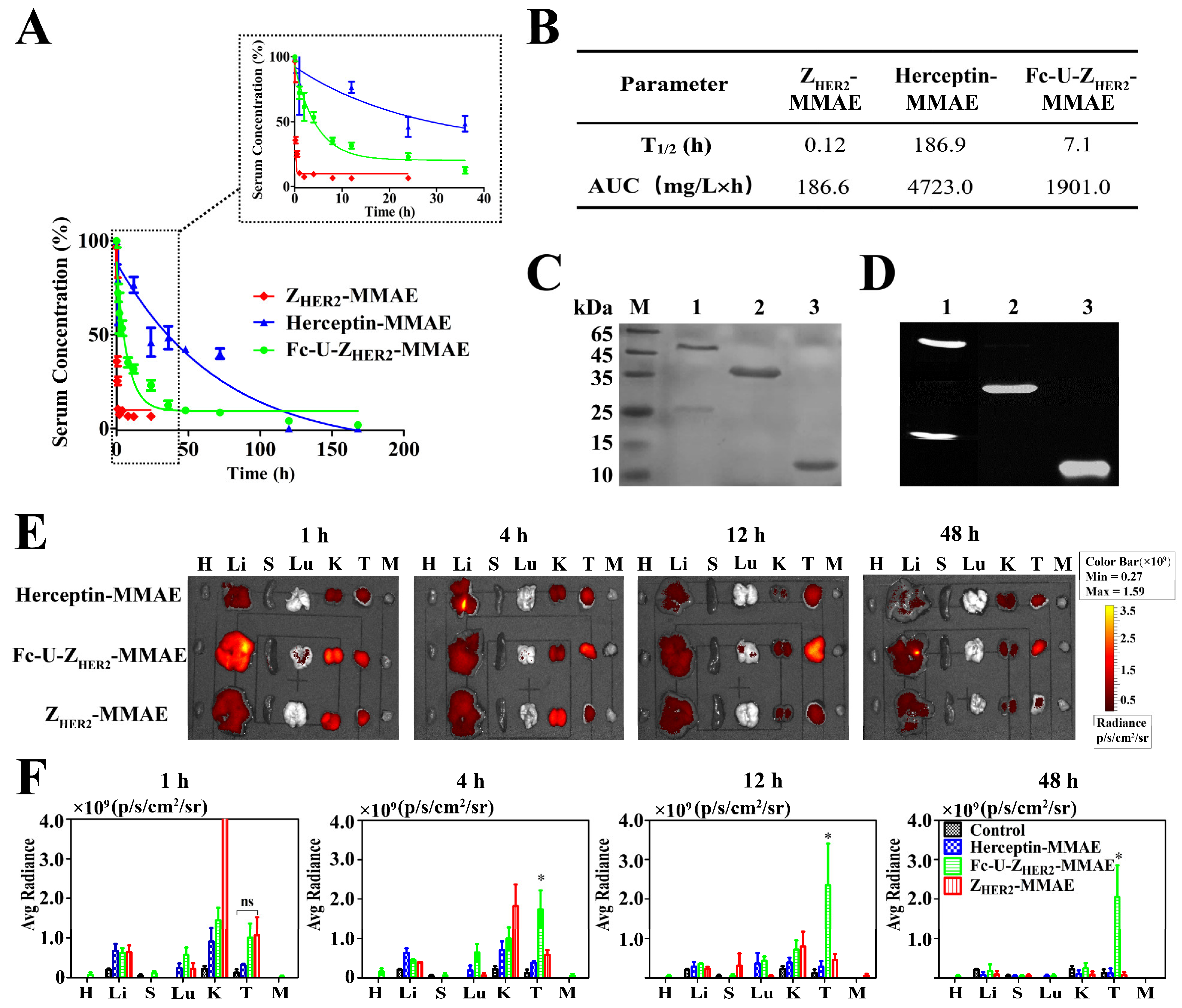 Ijms 24 11011 g004 Ijms 24 11011 g004