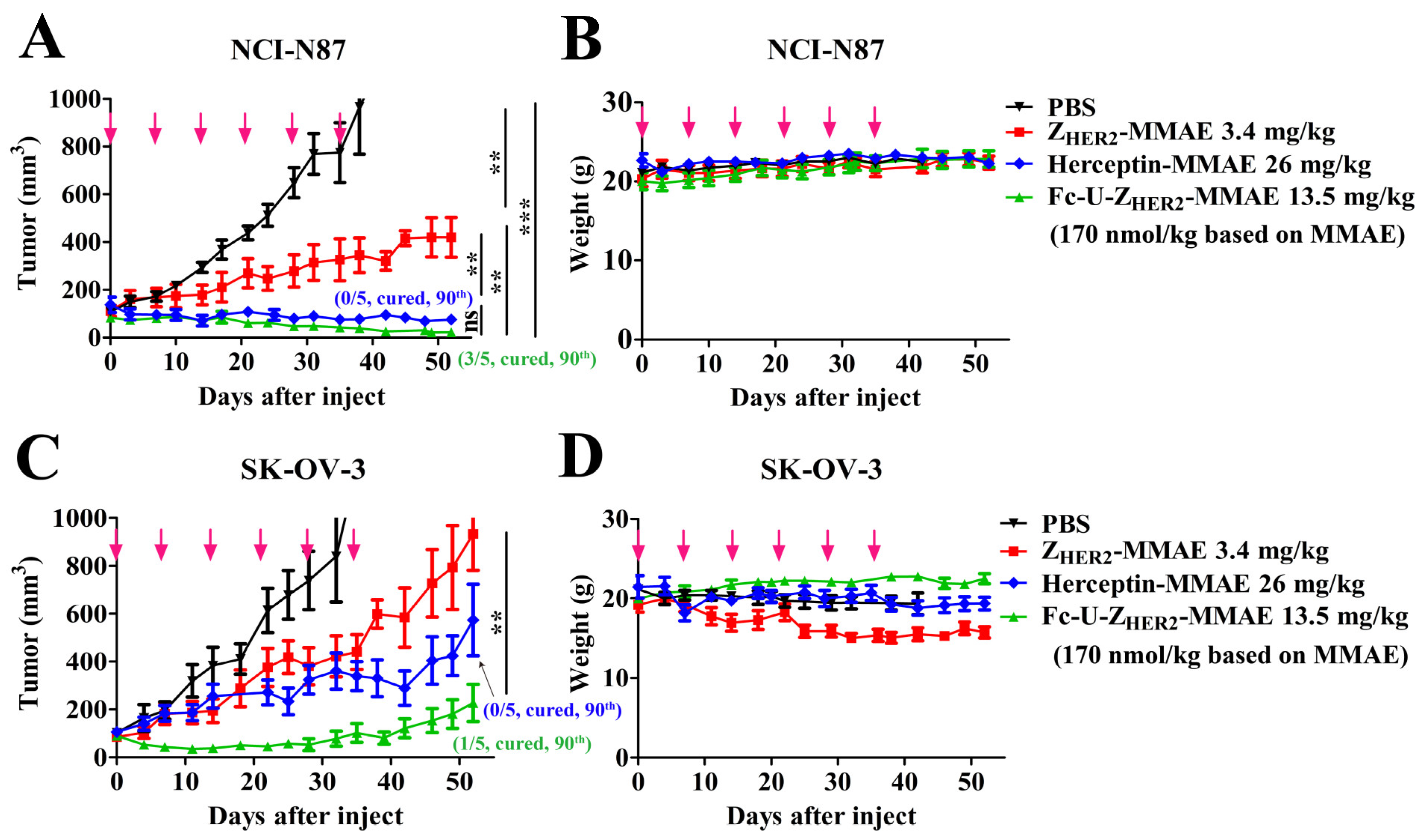 Ijms 24 11011 g005 Ijms 24 11011 g005