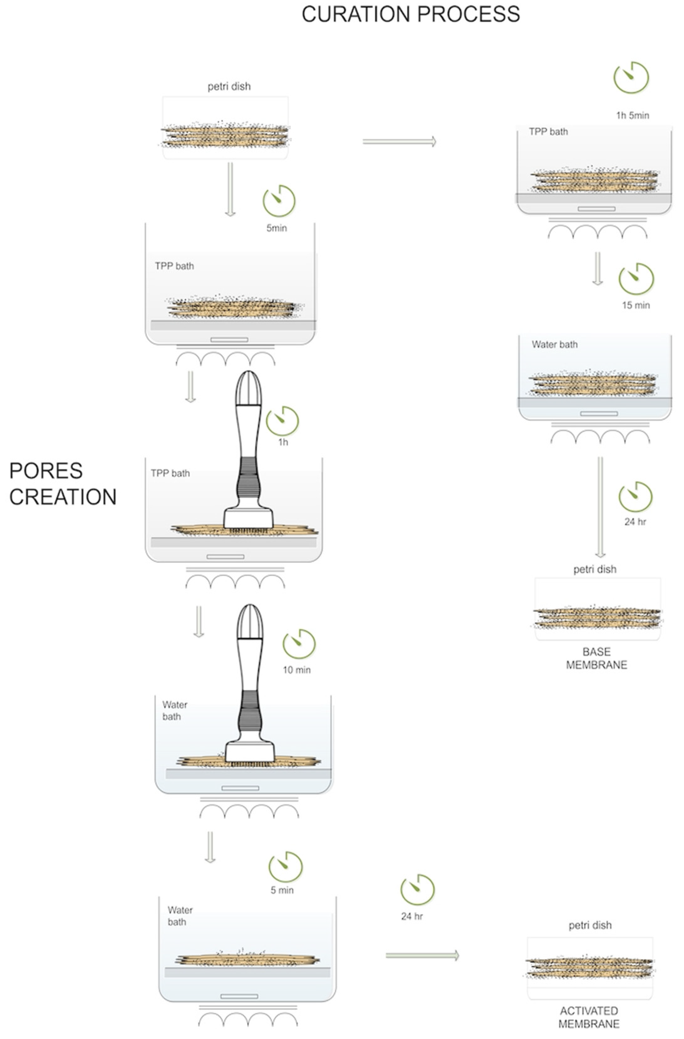 Ijms 24 11016 sch002