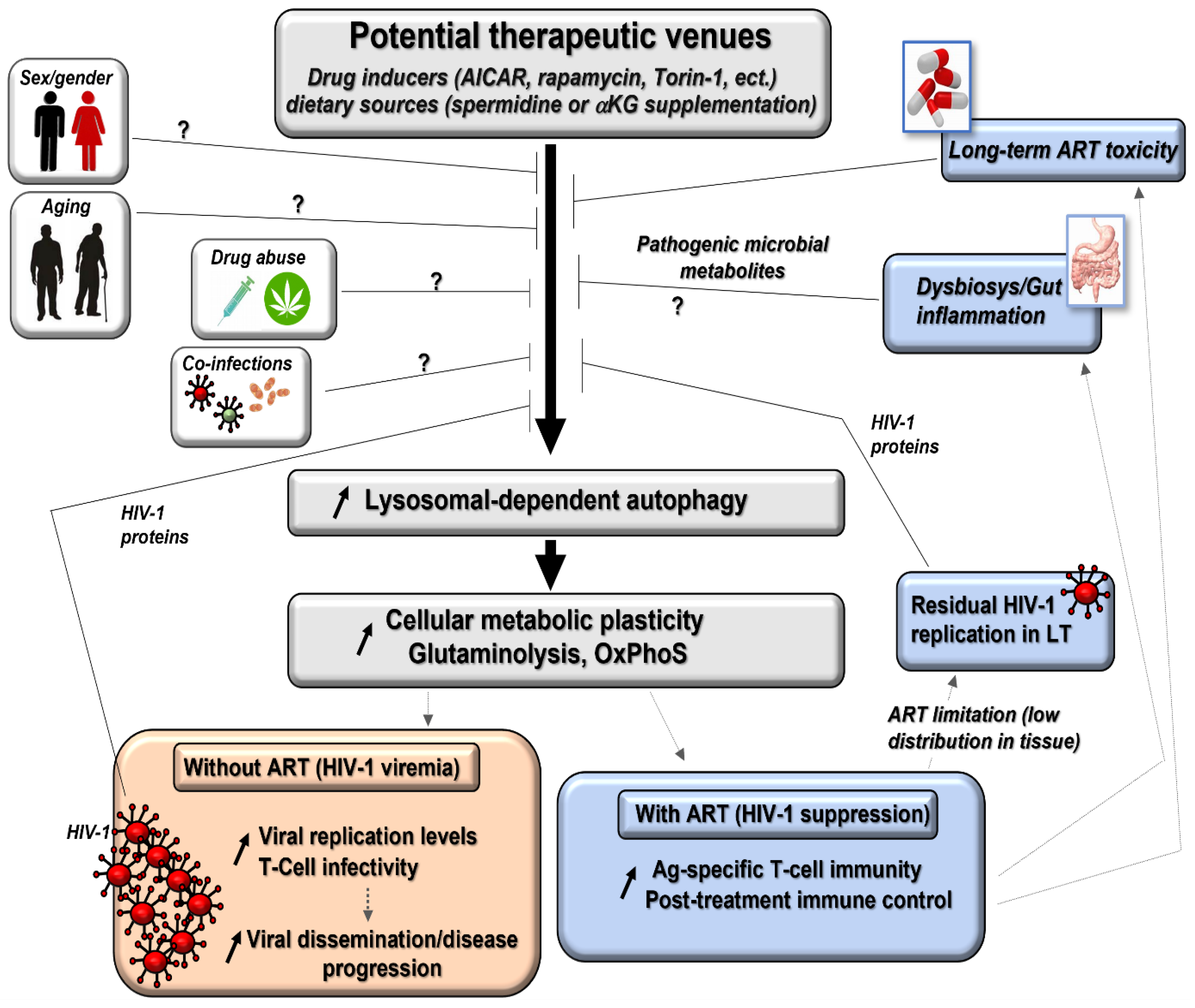 Ijms 24 11018 g002 Ijms 24 11018 g002