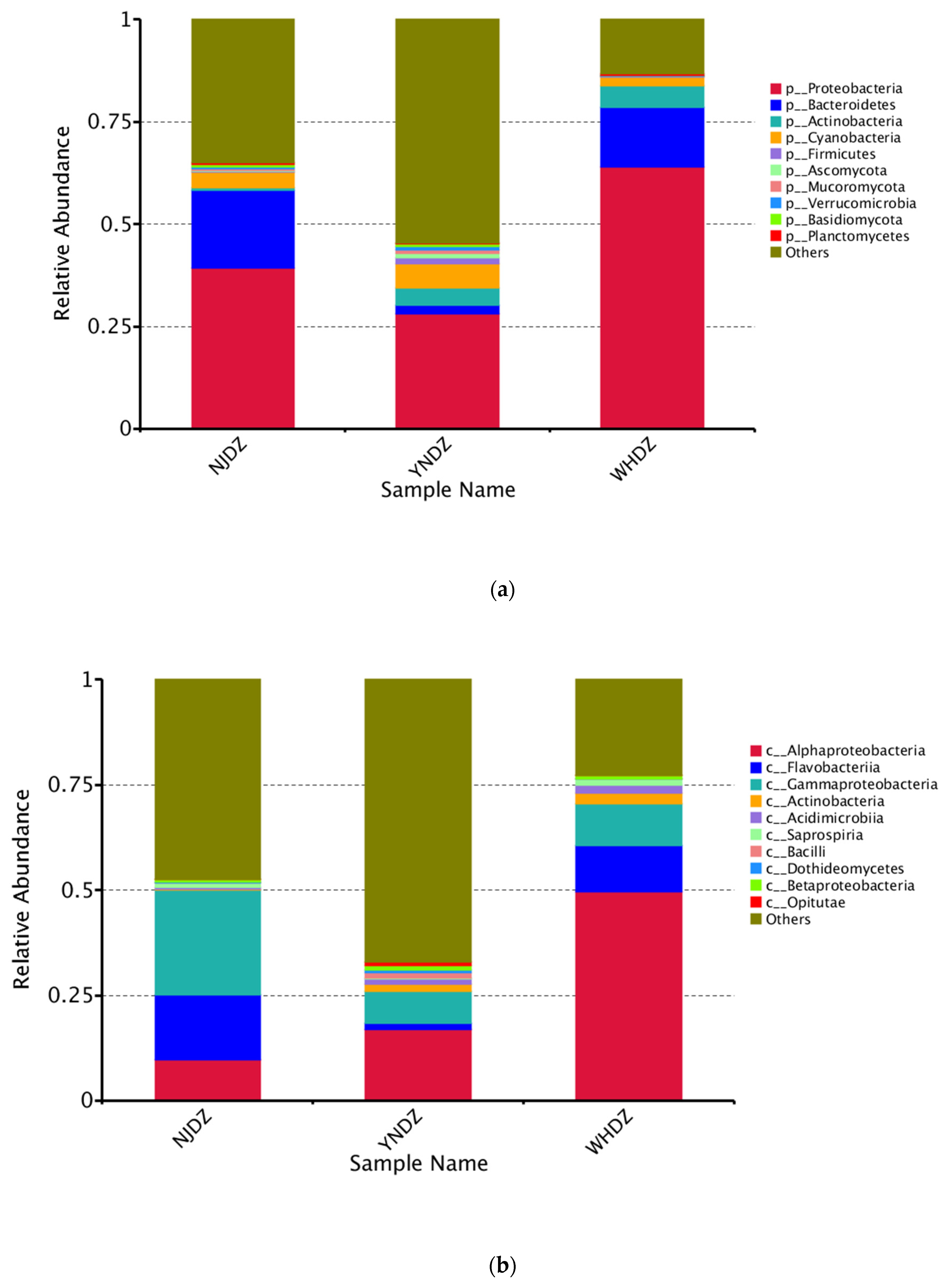 Ijms 24 11019 g002a Ijms 24 11019 g002a