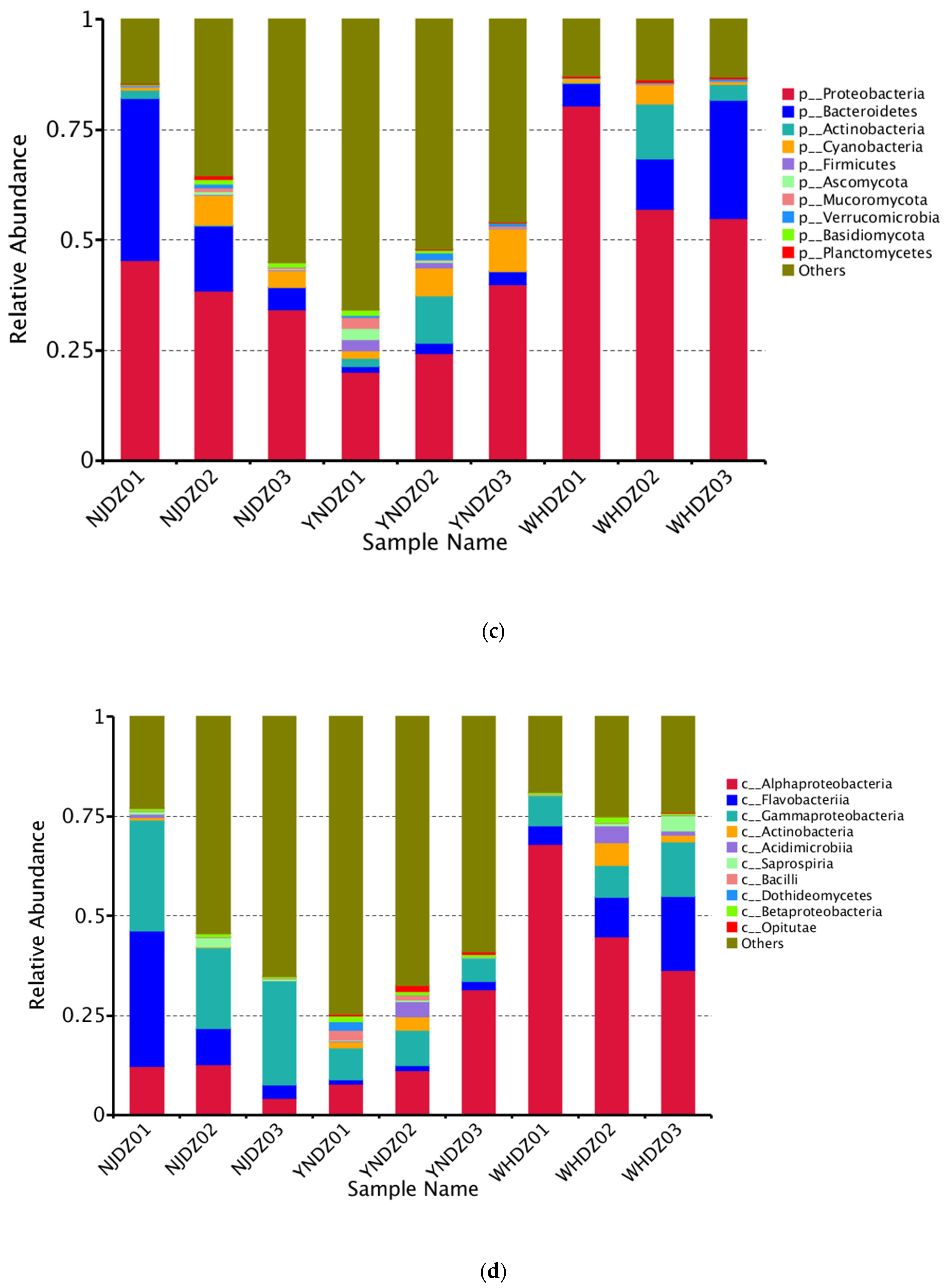 Ijms 24 11019 g002b Ijms 24 11019 g002b