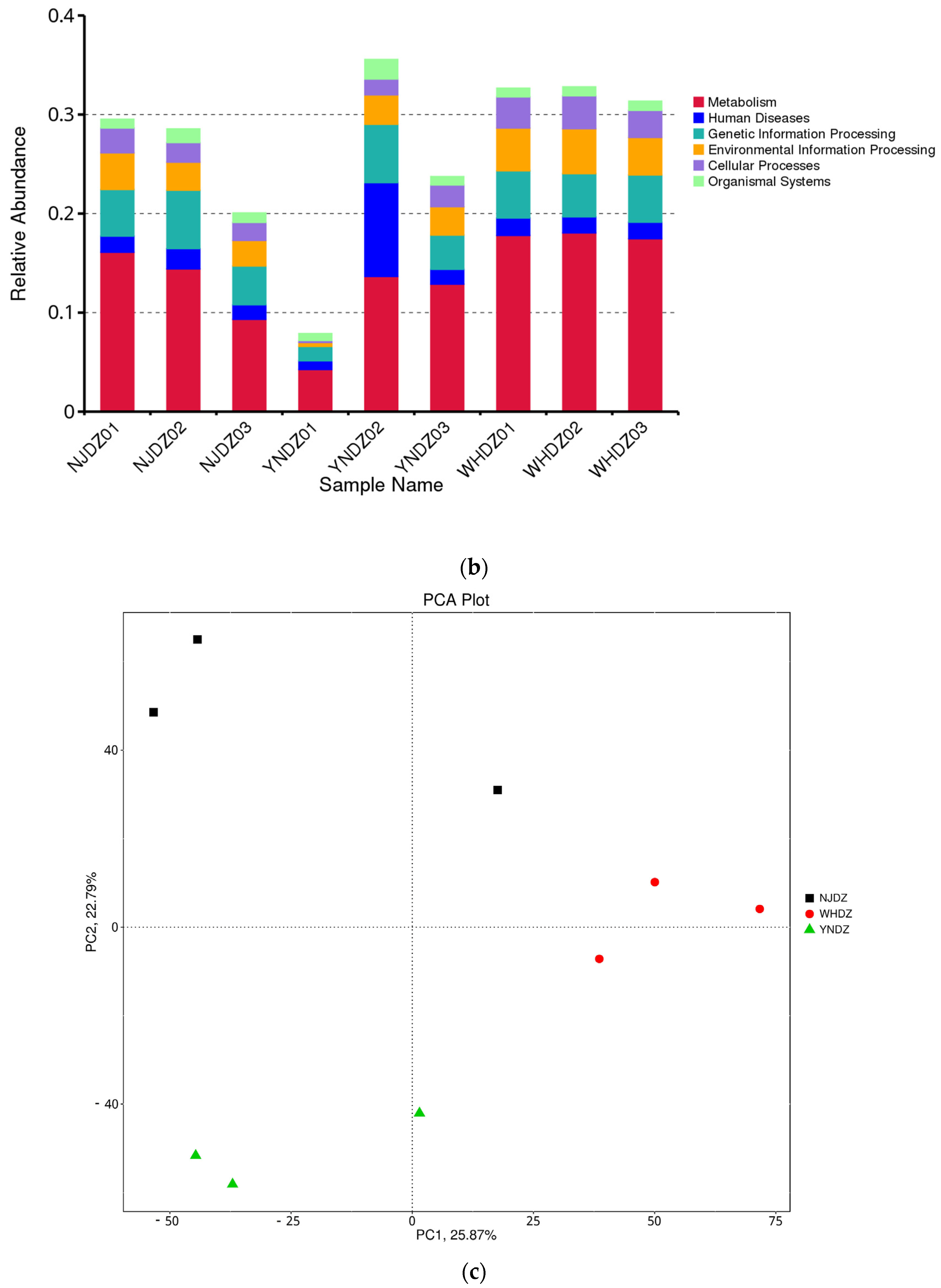 Ijms 24 11019 g003b Ijms 24 11019 g003b