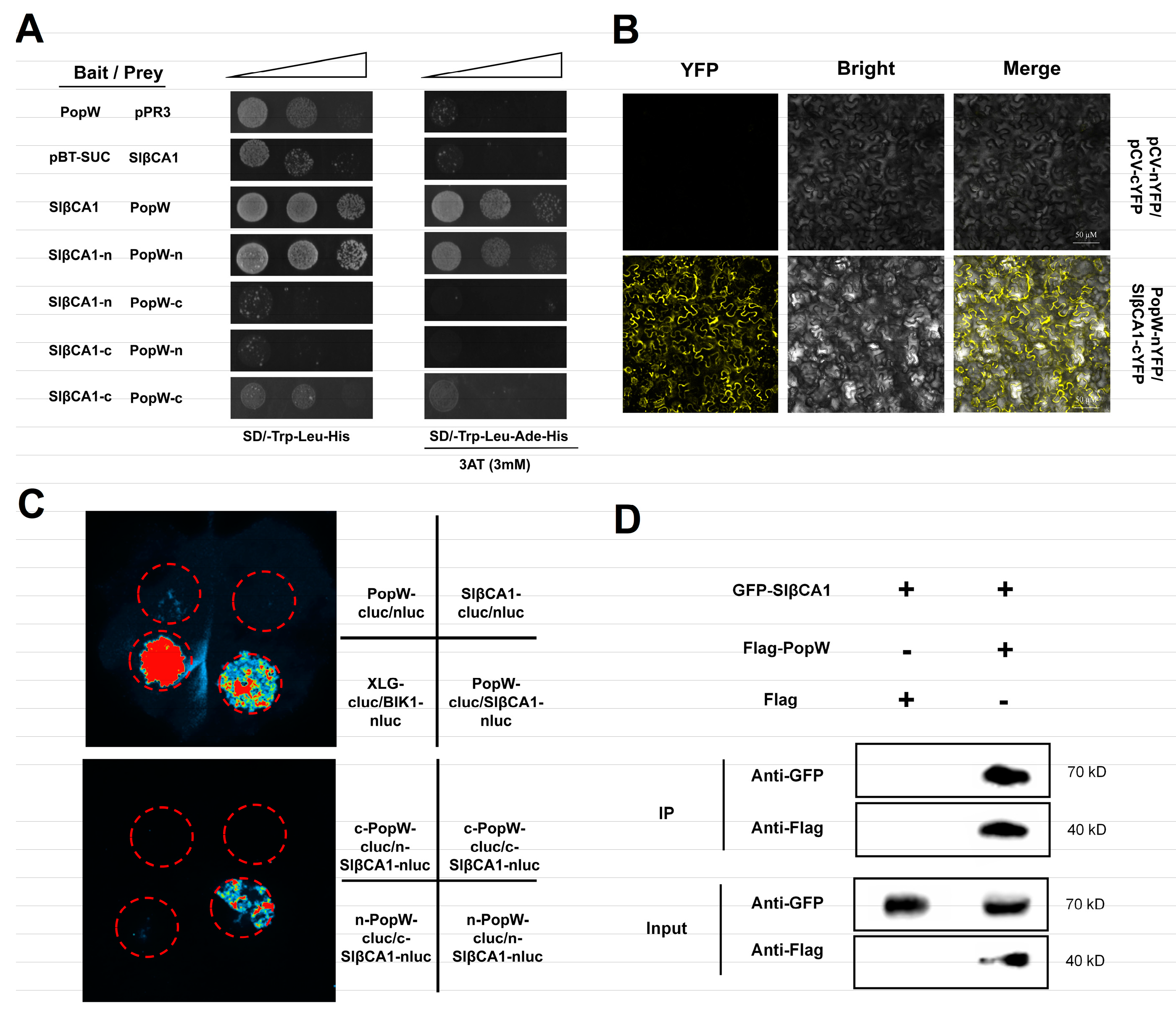 Ijms 24 11021 g005 Ijms 24 11021 g005