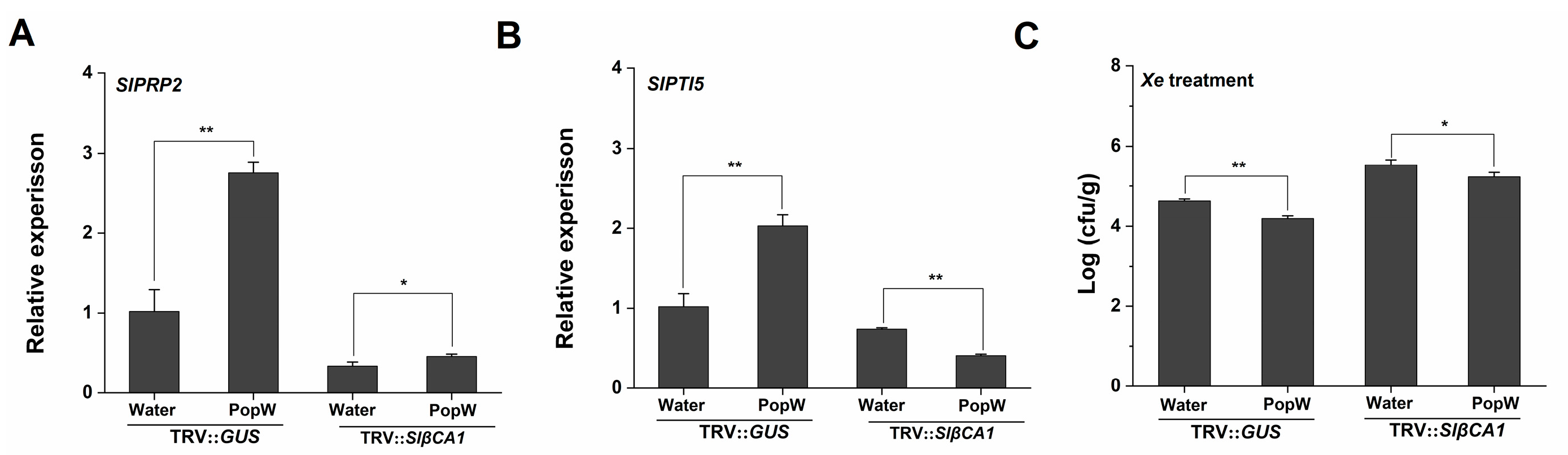 Ijms 24 11021 g007 Ijms 24 11021 g007