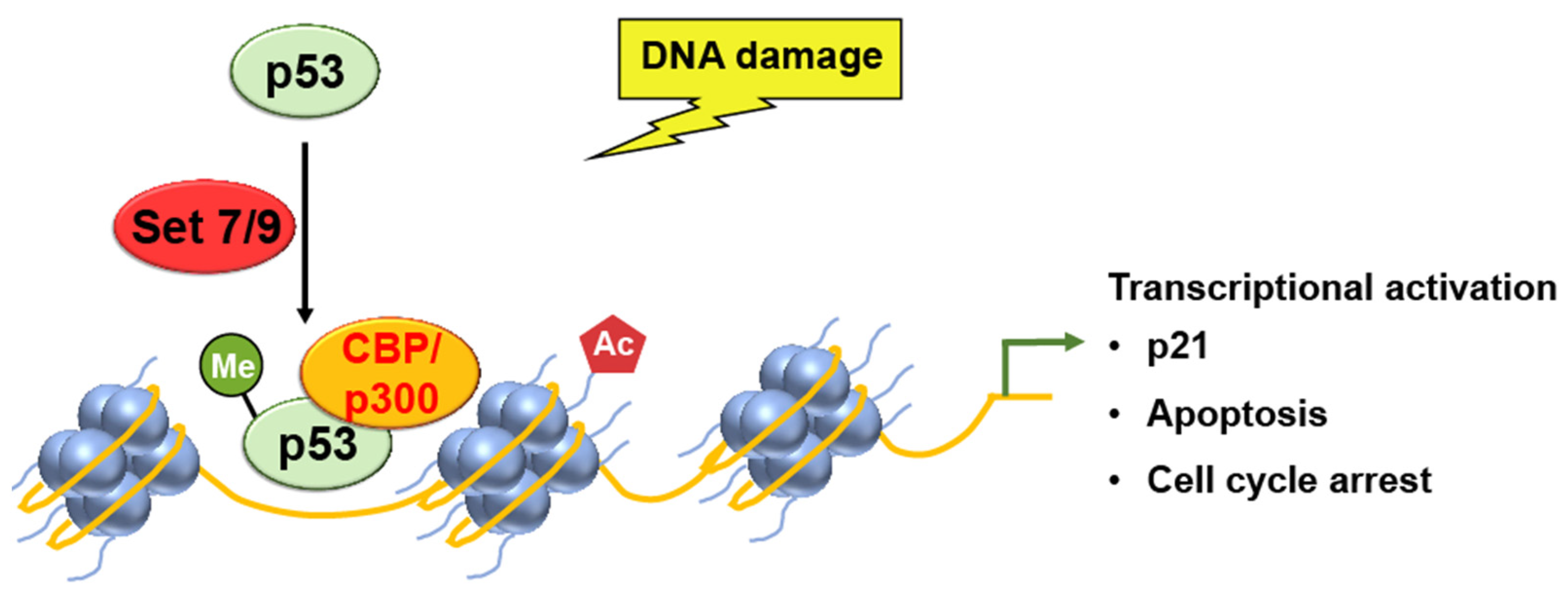 Ijms 24 11032 g002 Ijms 24 11032 g002