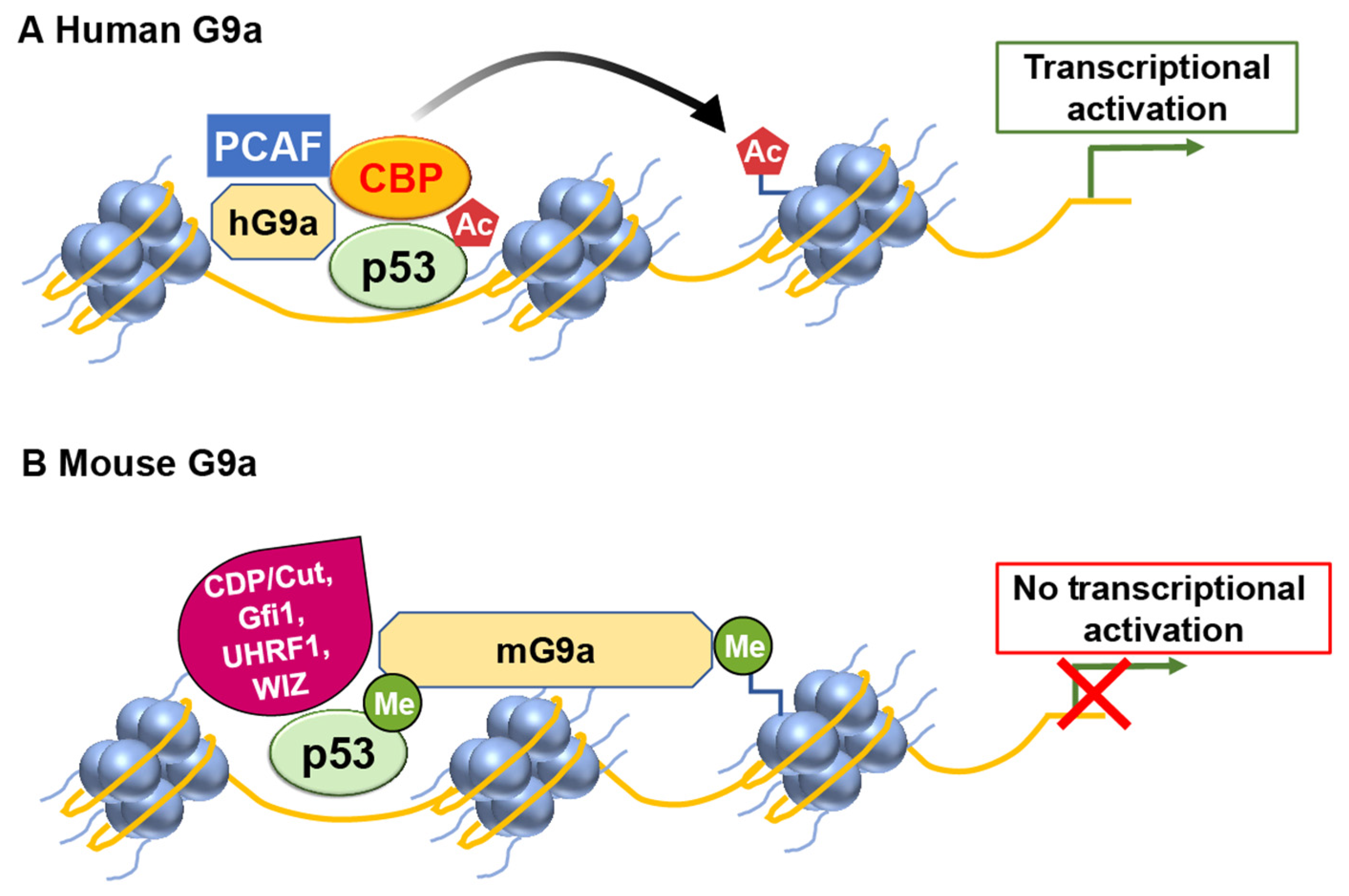 Ijms 24 11032 g003 Ijms 24 11032 g003