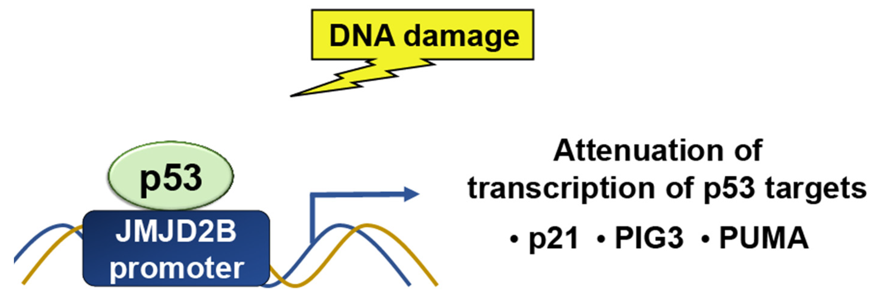 Ijms 24 11032 g005 Ijms 24 11032 g005