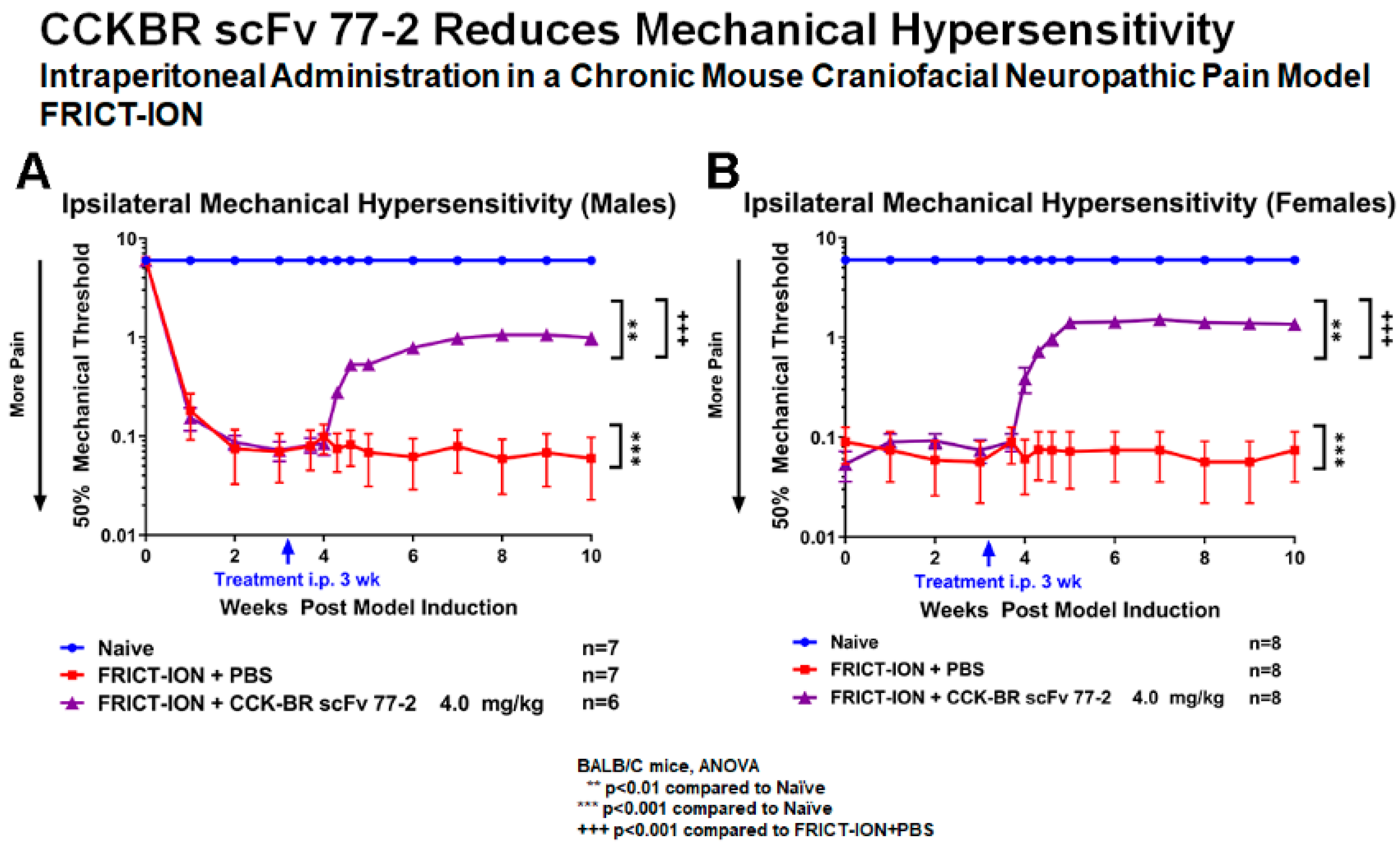 Ijms 24 11035 g007 Ijms 24 11035 g007