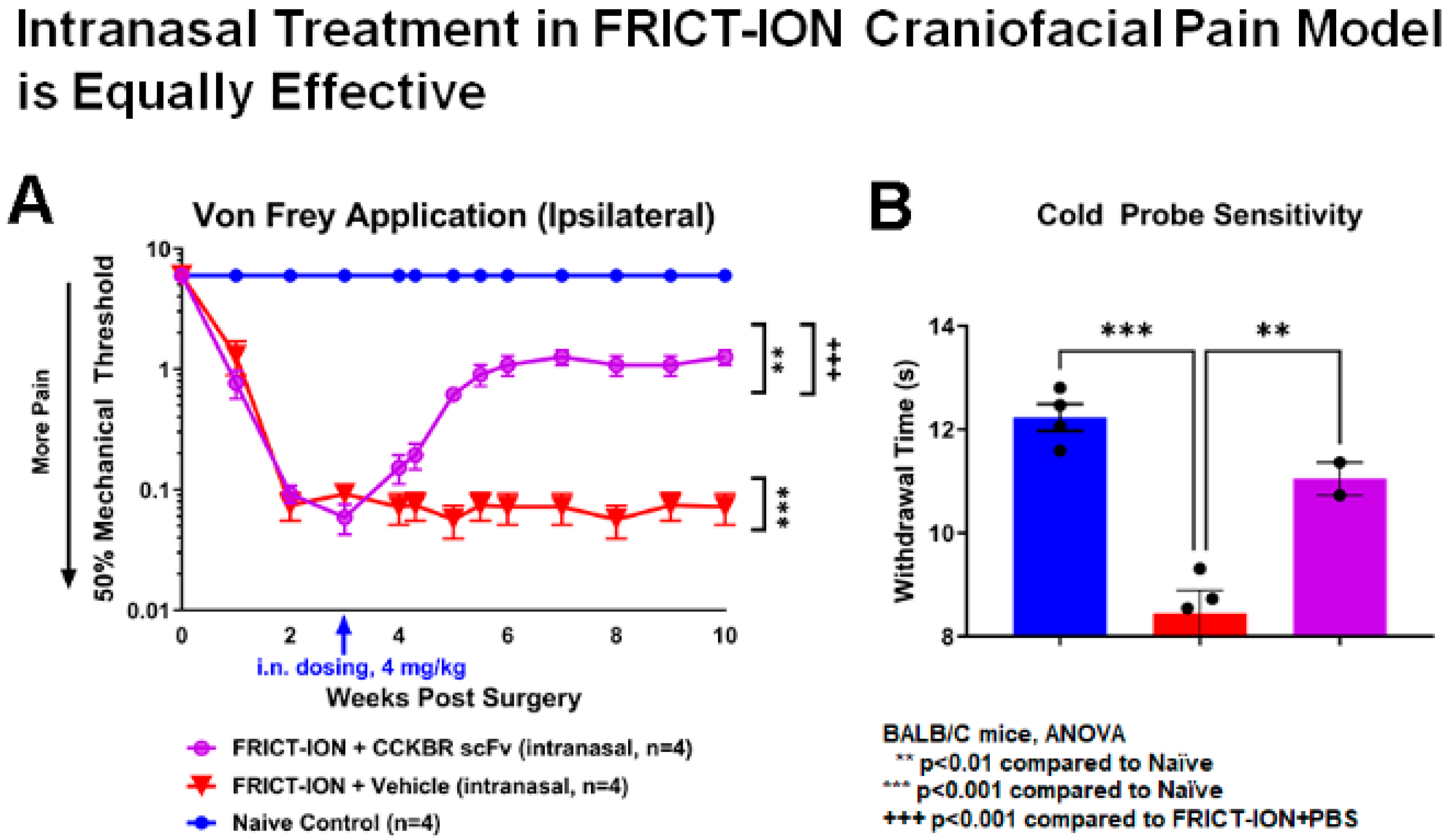 Ijms 24 11035 g008 Ijms 24 11035 g008