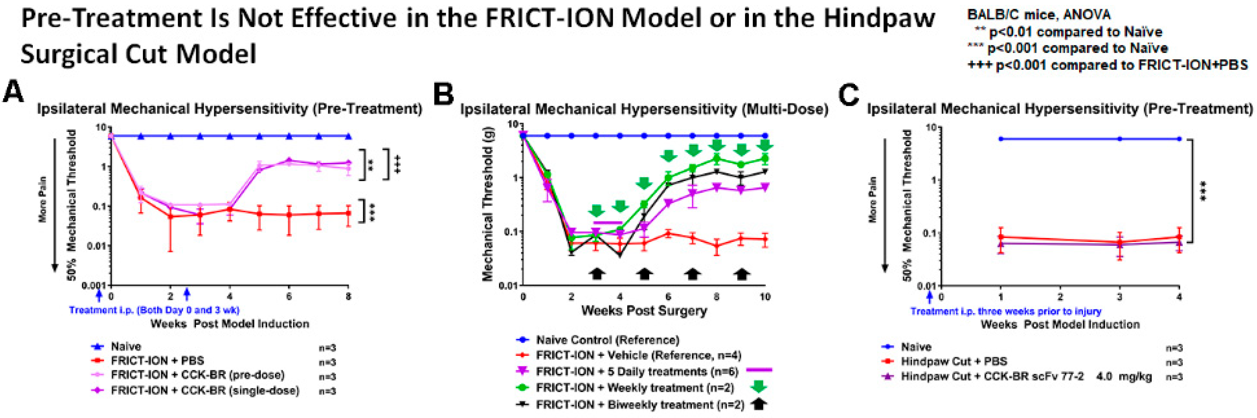 Ijms 24 11035 g009 Ijms 24 11035 g009