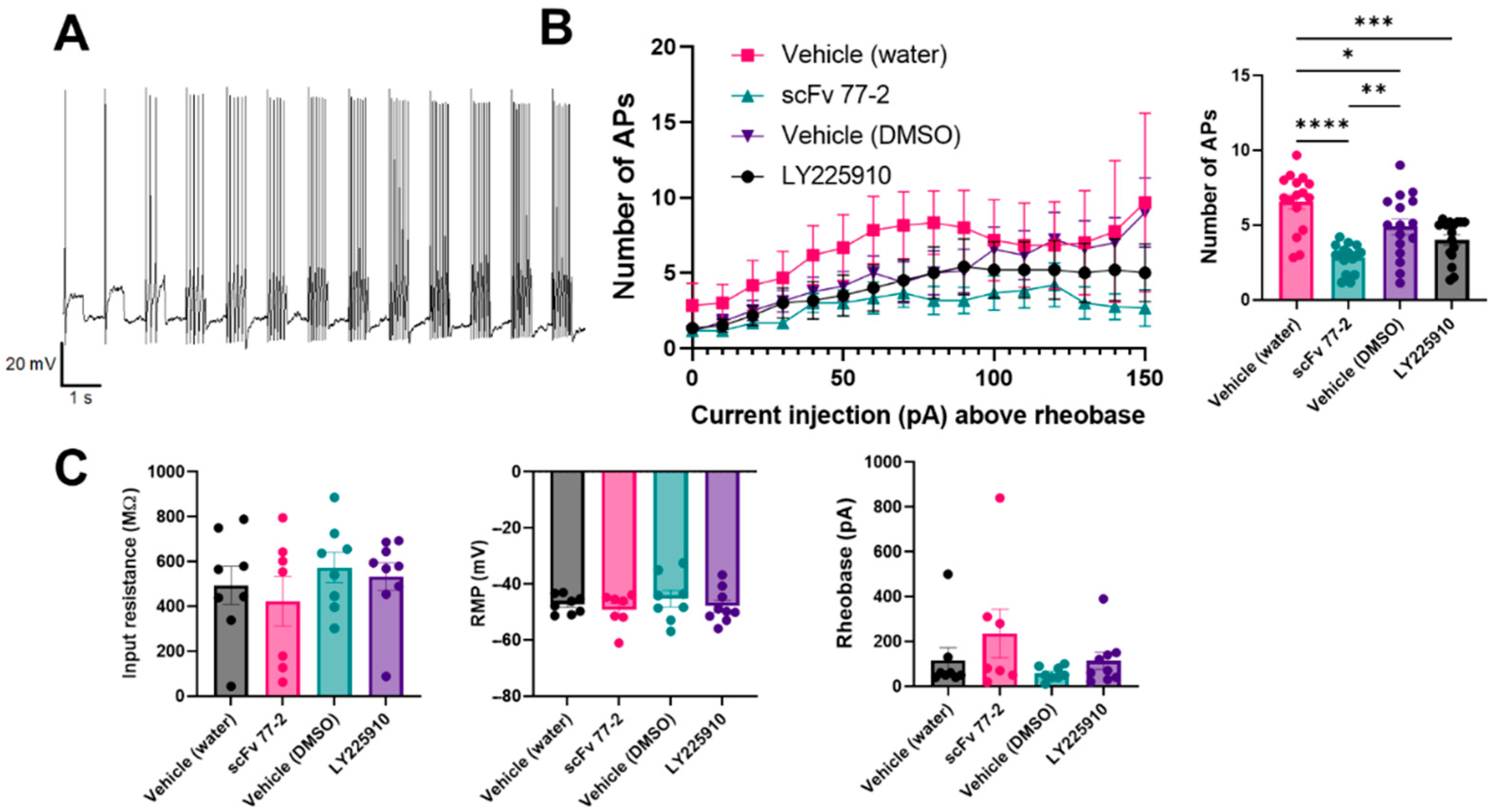 Ijms 24 11035 g015 Ijms 24 11035 g015