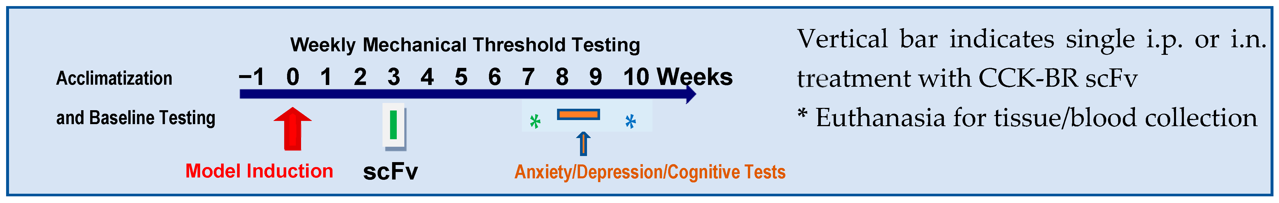 Ijms 24 11035 sch001 Ijms 24 11035 sch001