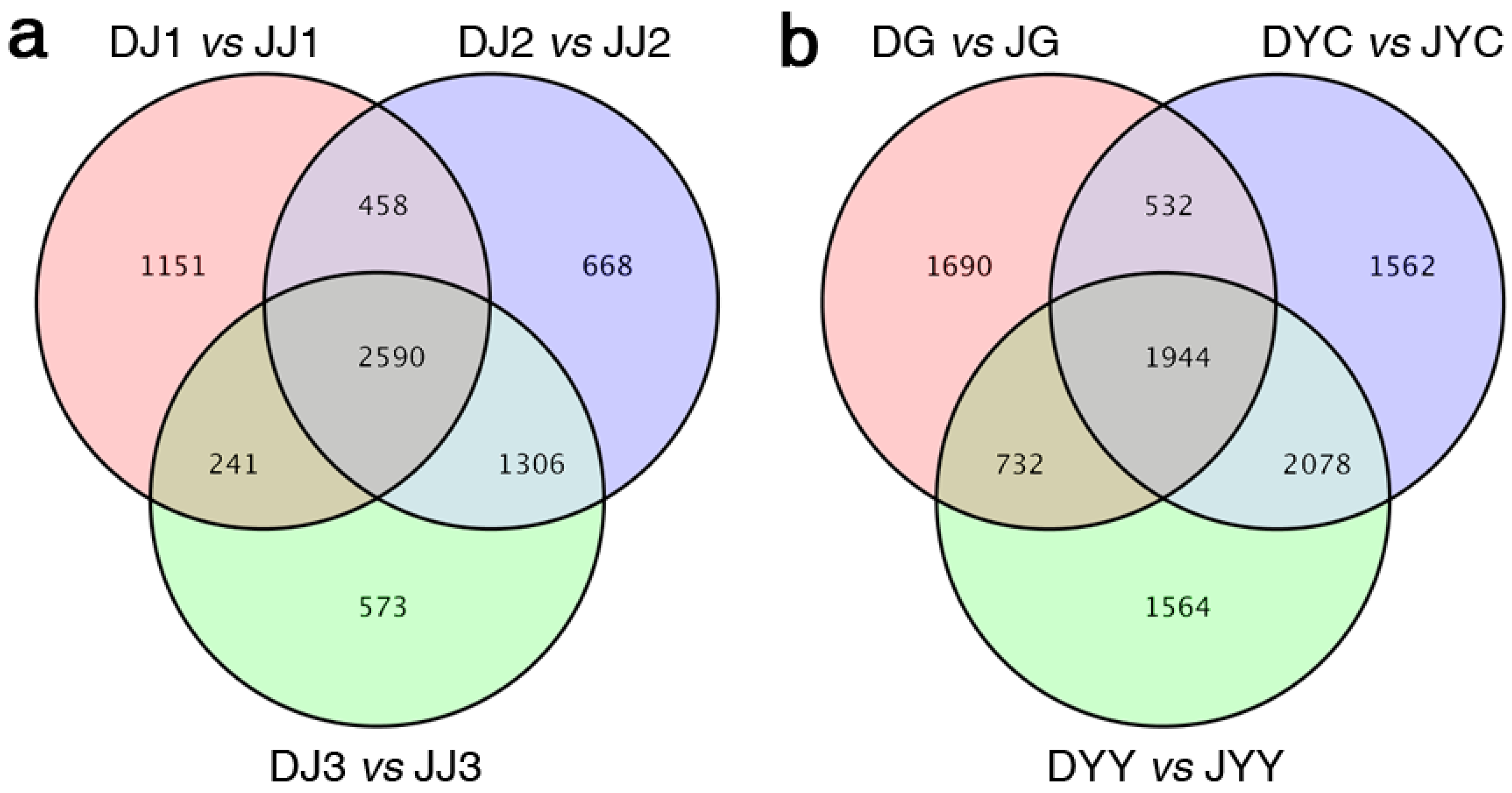 Ijms 24 11039 g003 Ijms 24 11039 g003