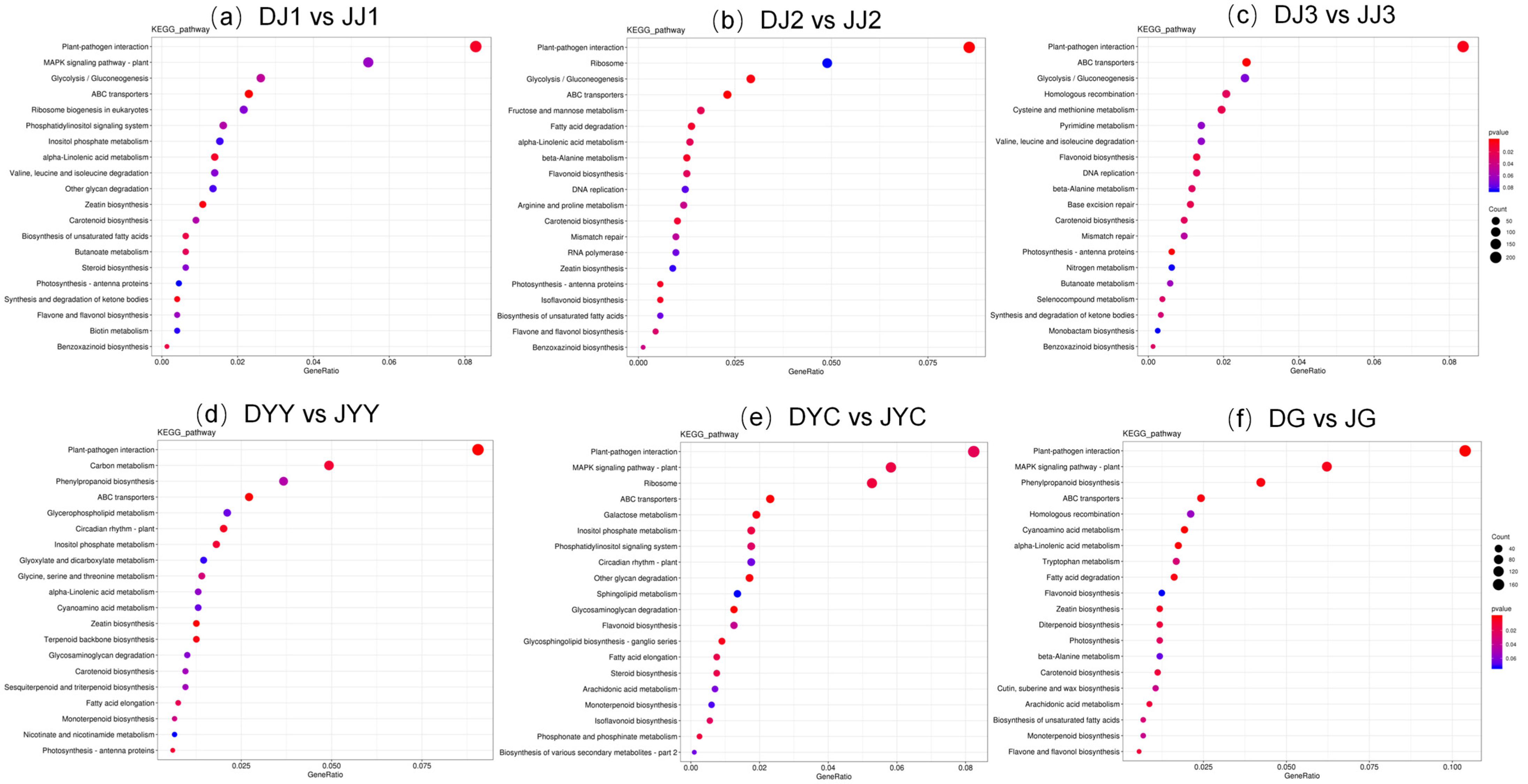 Ijms 24 11039 g004 Ijms 24 11039 g004