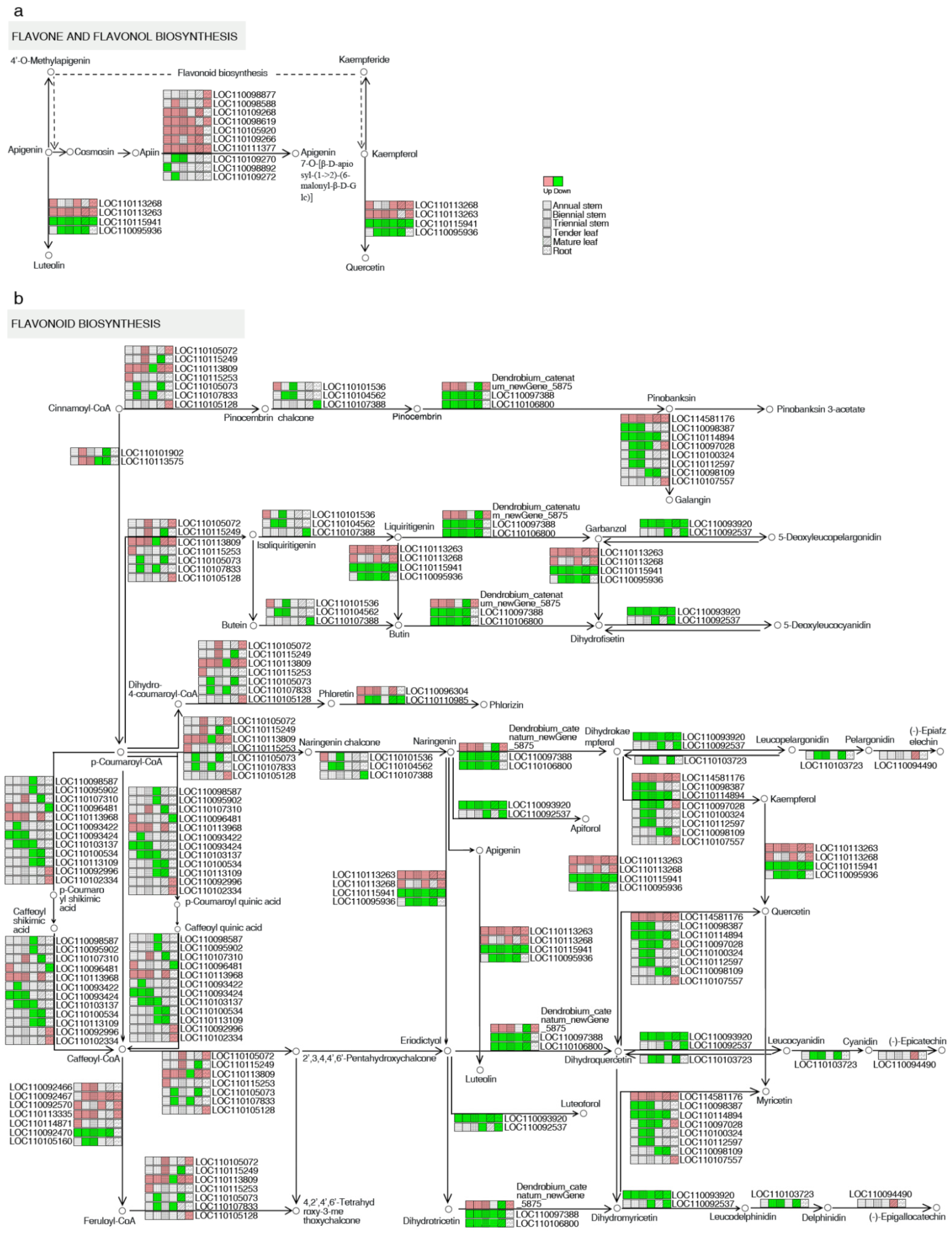 Ijms 24 11039 g005 Ijms 24 11039 g005