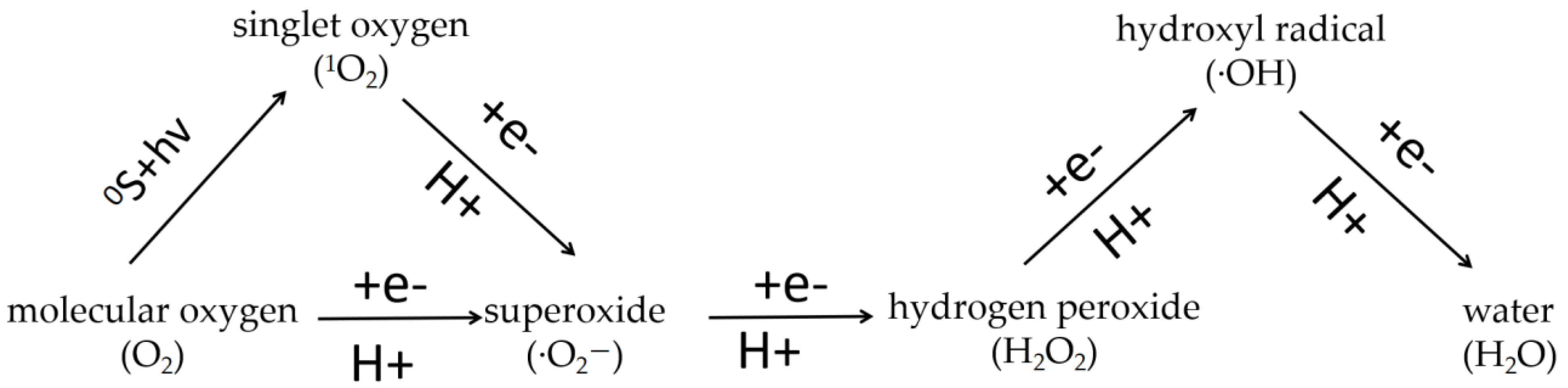 Ijms 24 11041 g001 Ijms 24 11041 g001