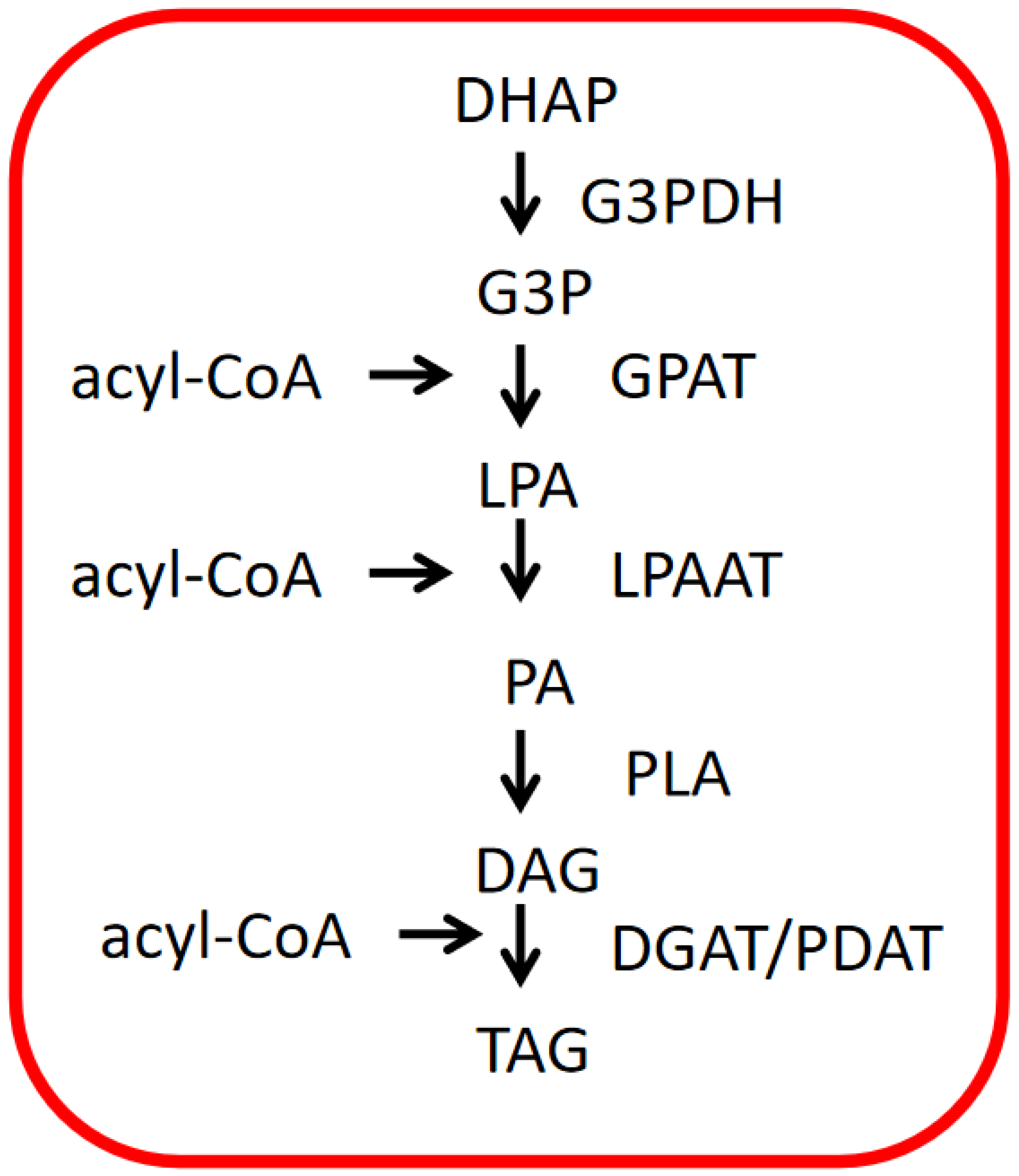 Ijms 24 11041 g007 Ijms 24 11041 g007