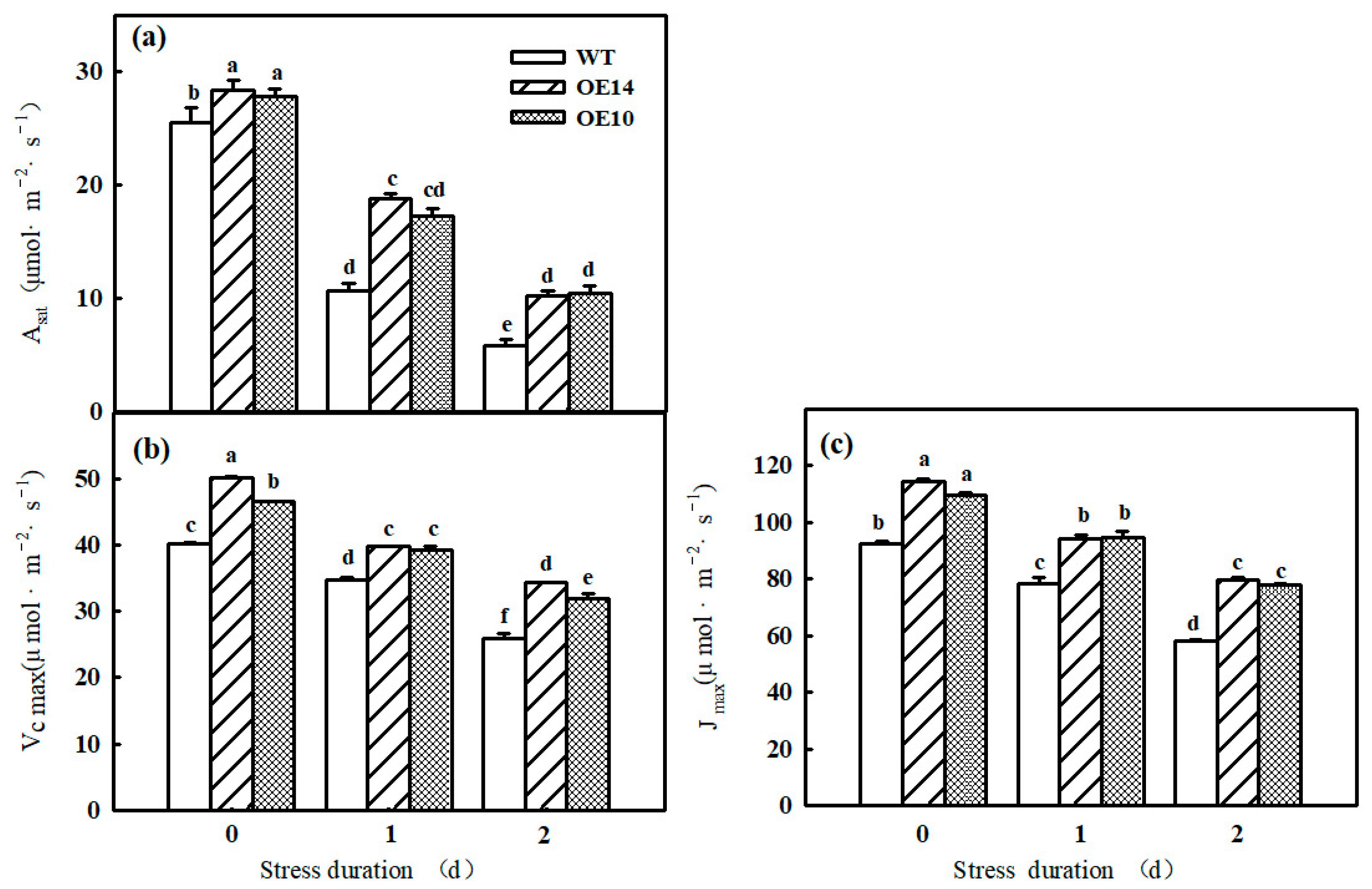 Ijms 24 11042 g004 Ijms 24 11042 g004