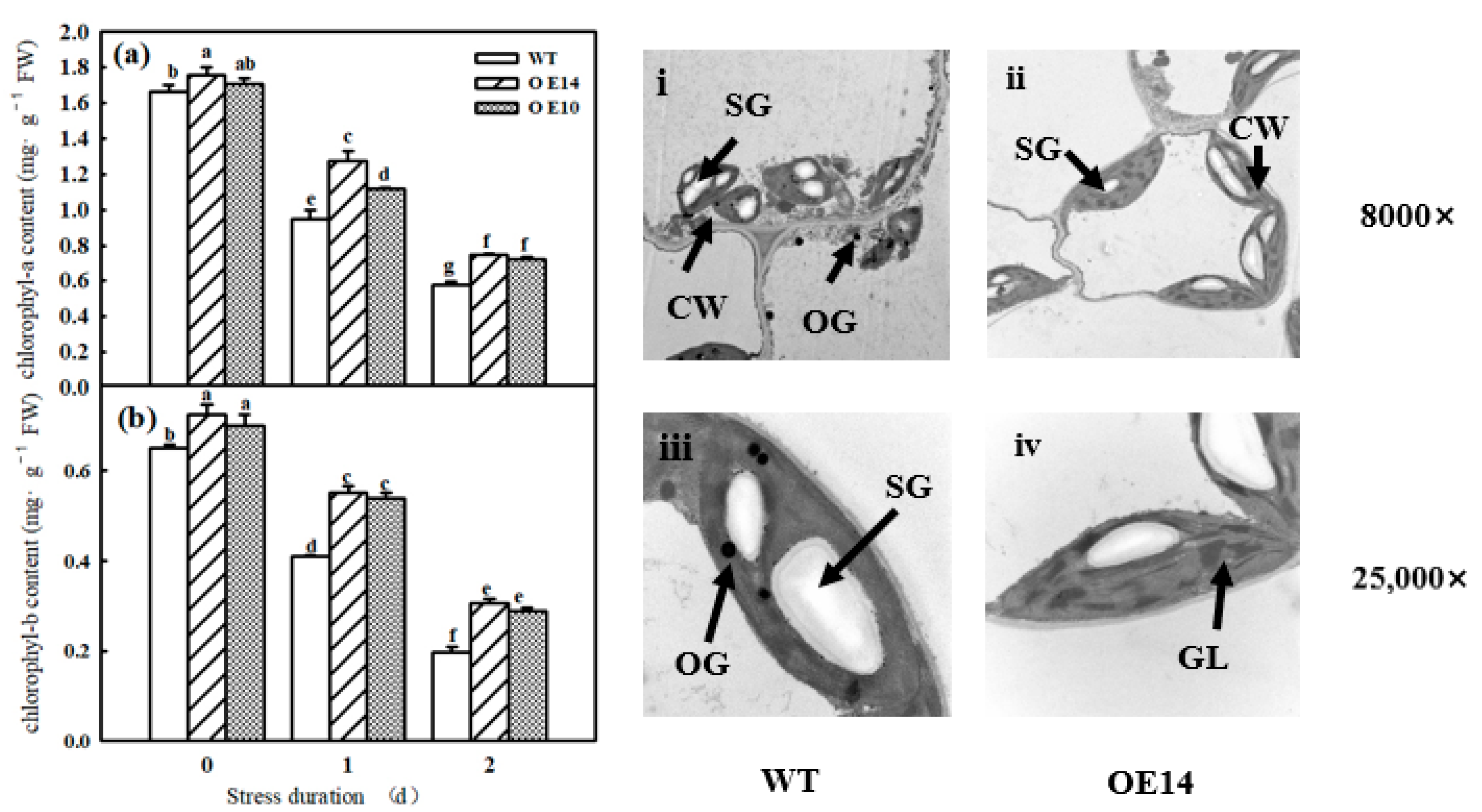 Ijms 24 11042 g006 Ijms 24 11042 g006