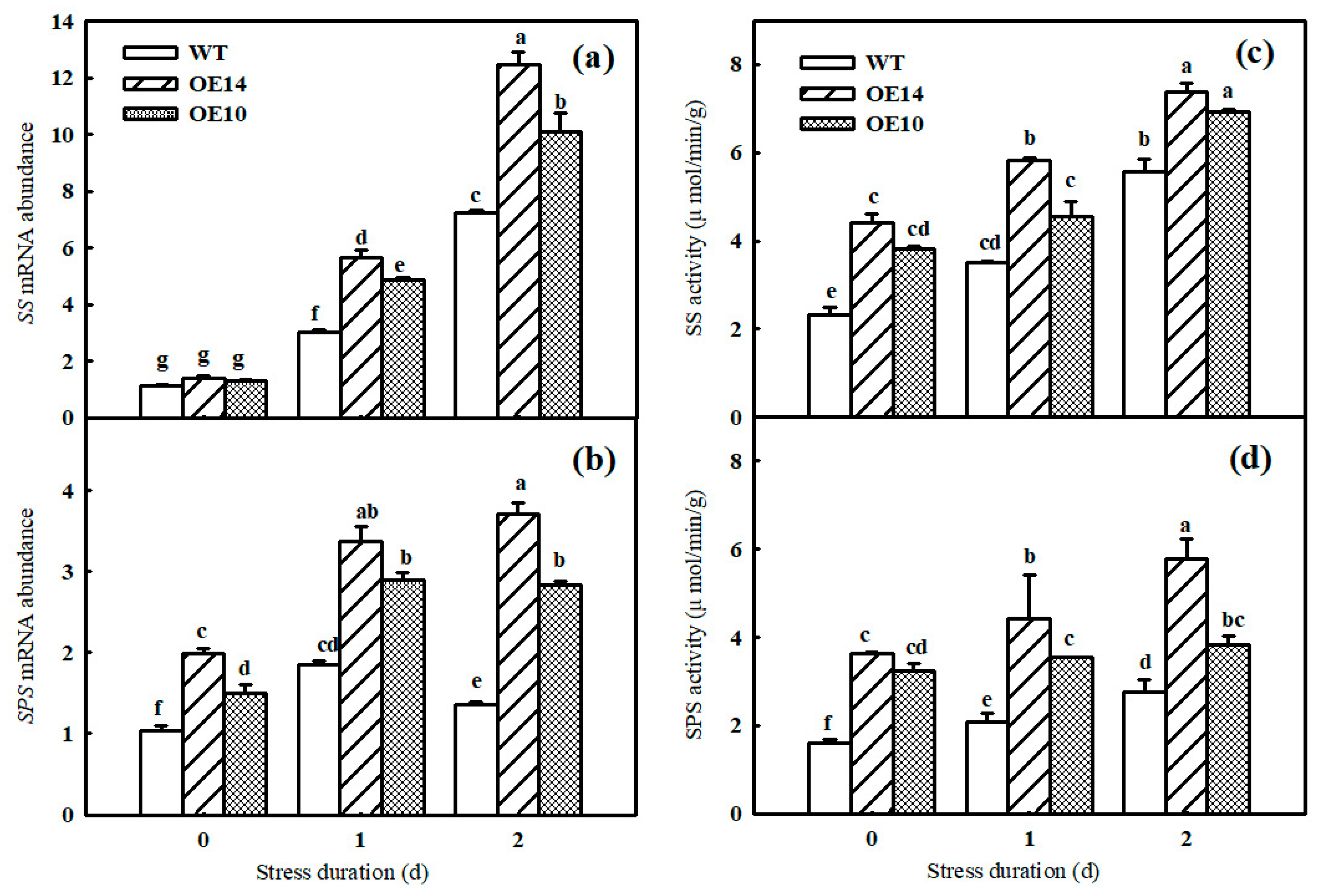 Ijms 24 11042 g007 Ijms 24 11042 g007