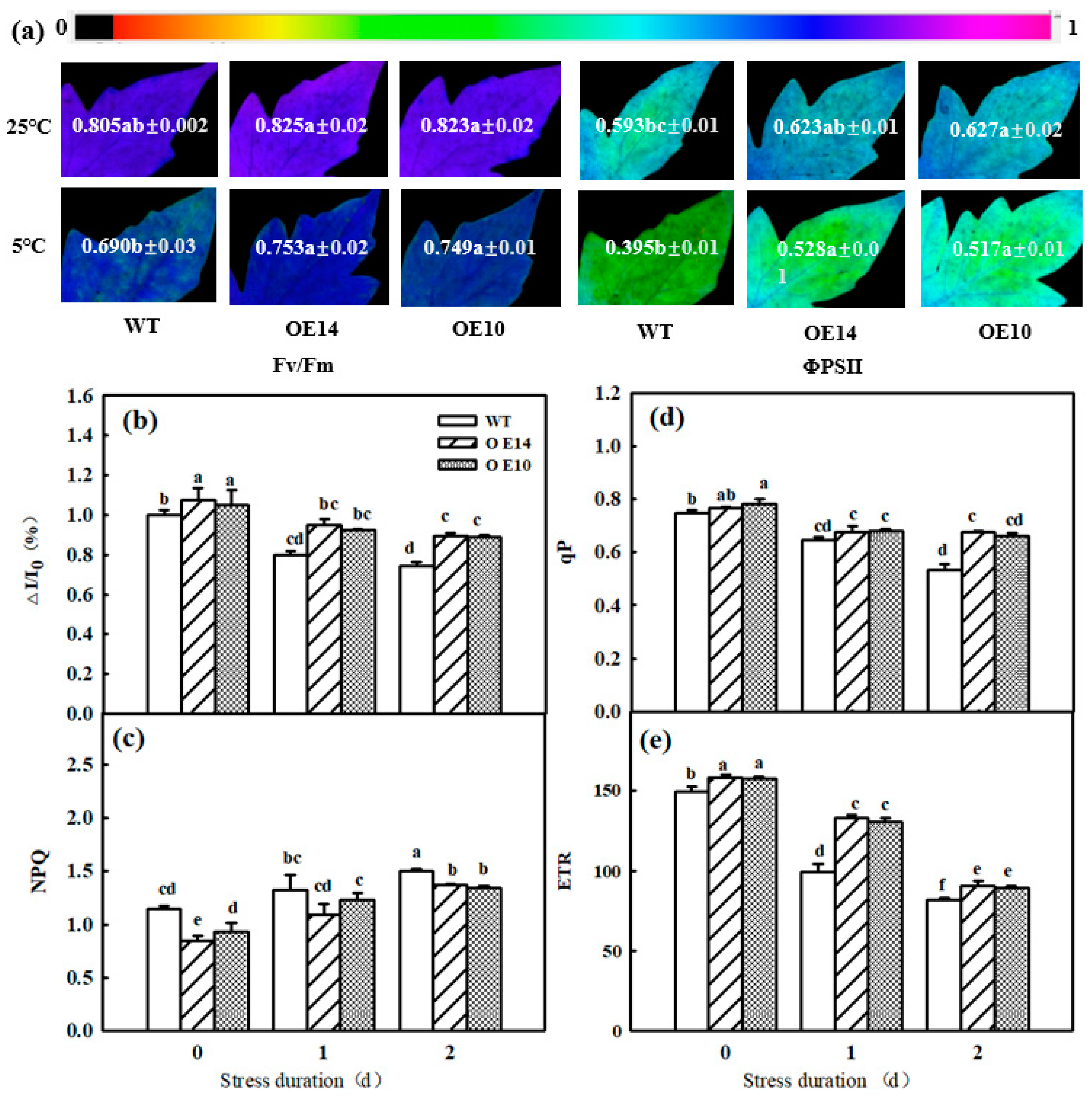 Ijms 24 11042 g008 Ijms 24 11042 g008