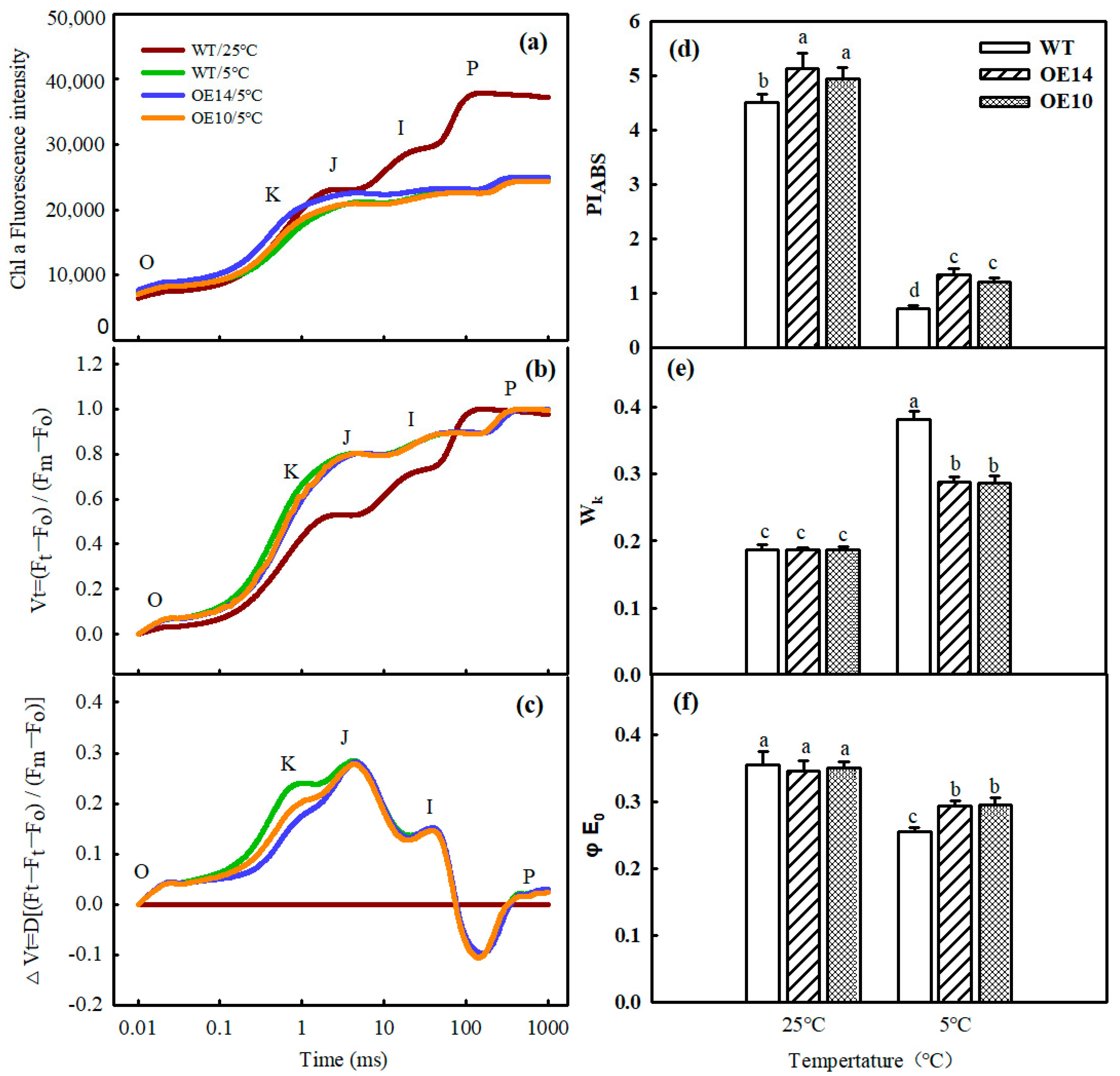 Ijms 24 11042 g009 Ijms 24 11042 g009