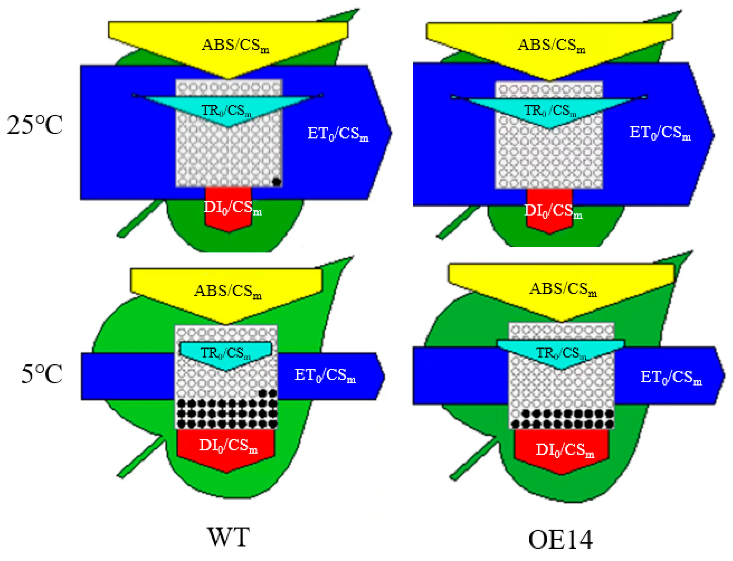 Ijms 24 11042 g010 Ijms 24 11042 g010