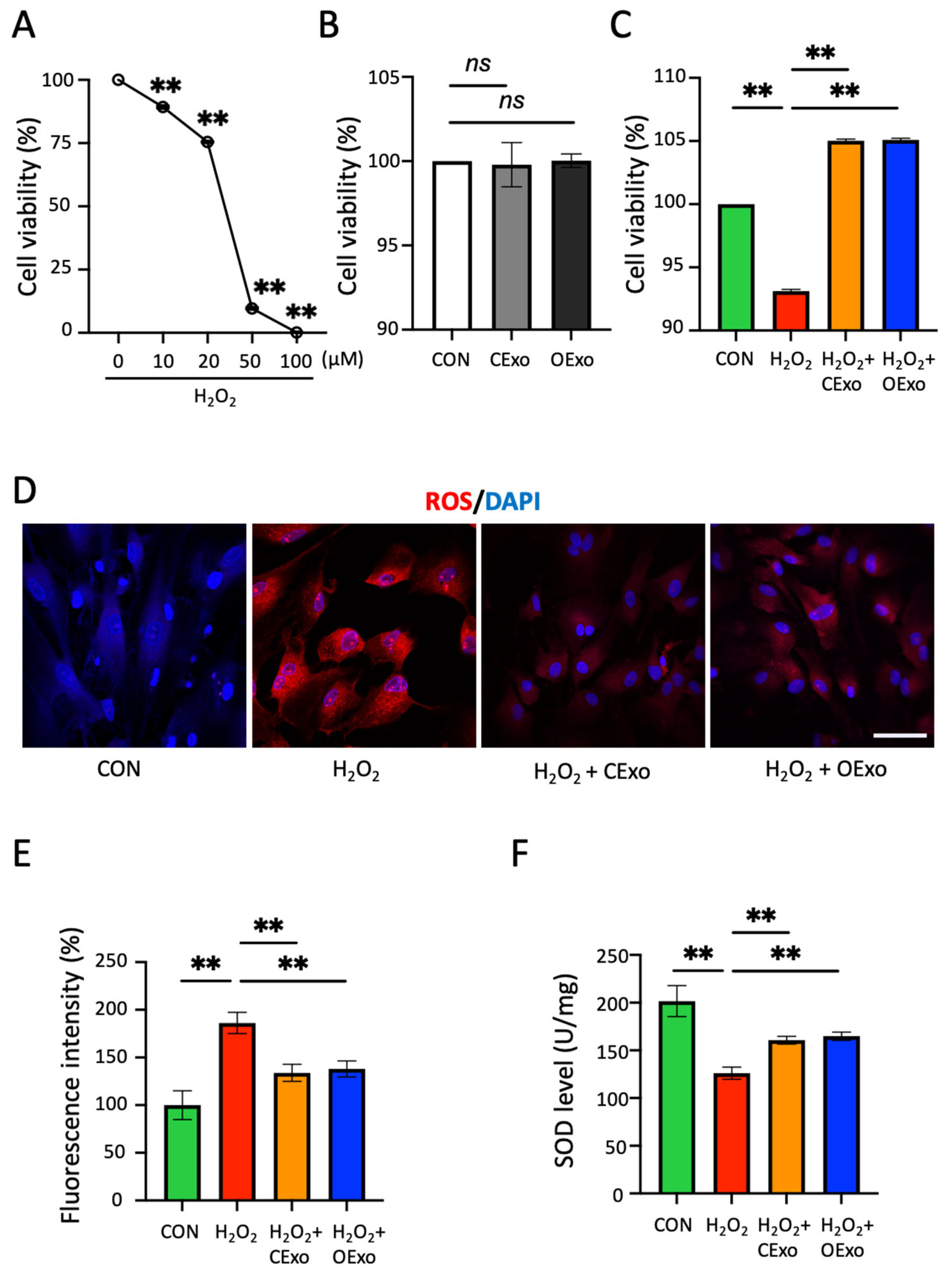 Ijms 24 11048 g004 Ijms 24 11048 g004