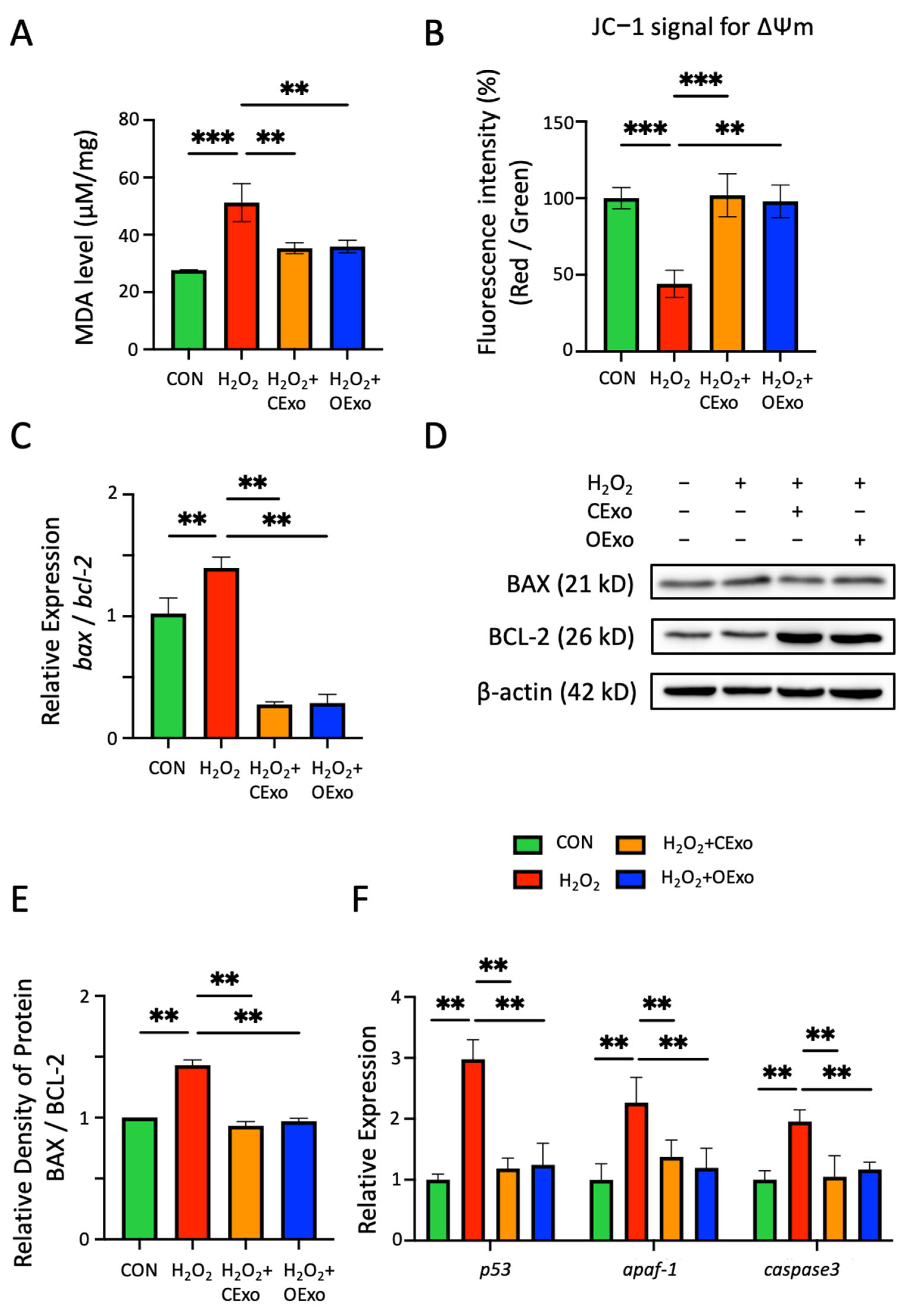Ijms 24 11048 g005 Ijms 24 11048 g005
