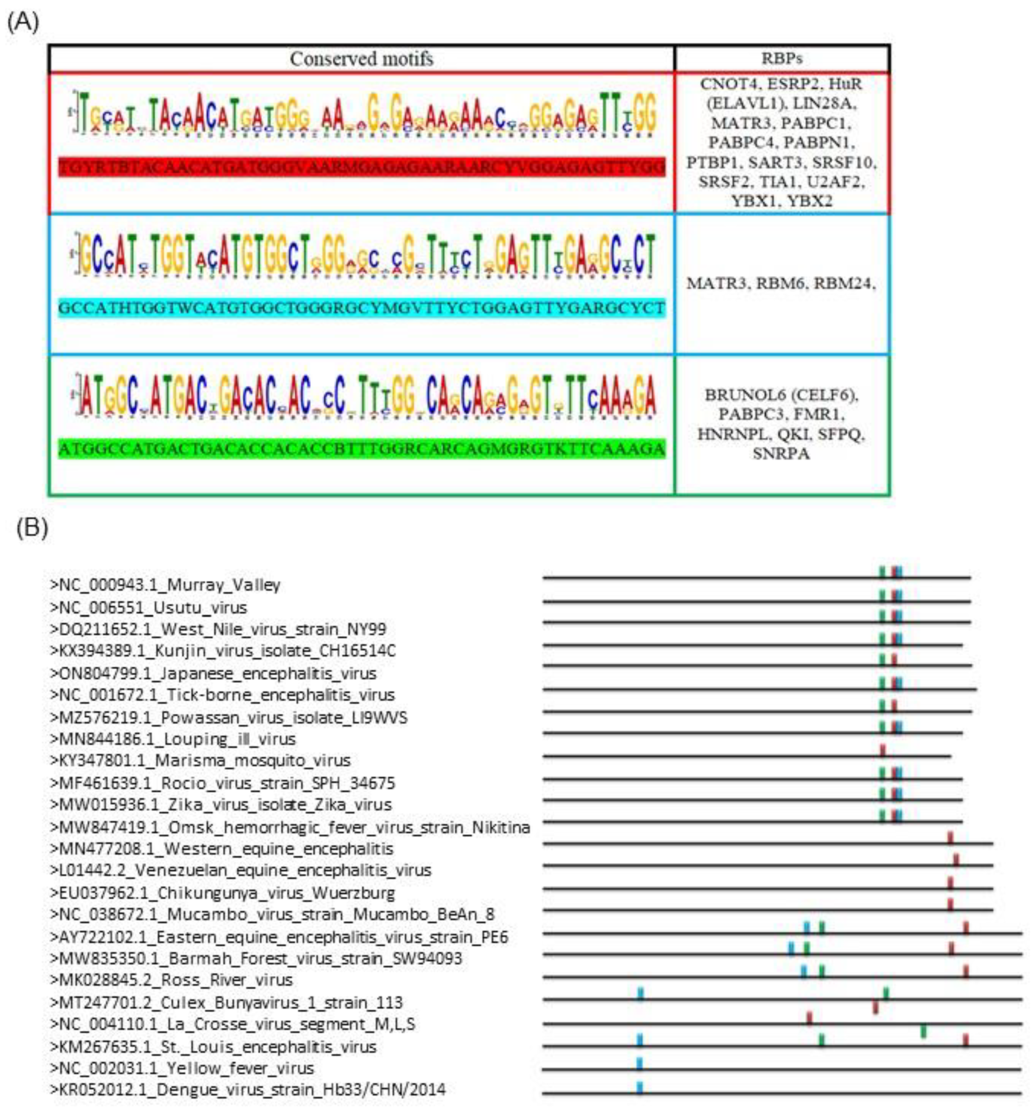 Ijms 24 11051 g001 Ijms 24 11051 g001