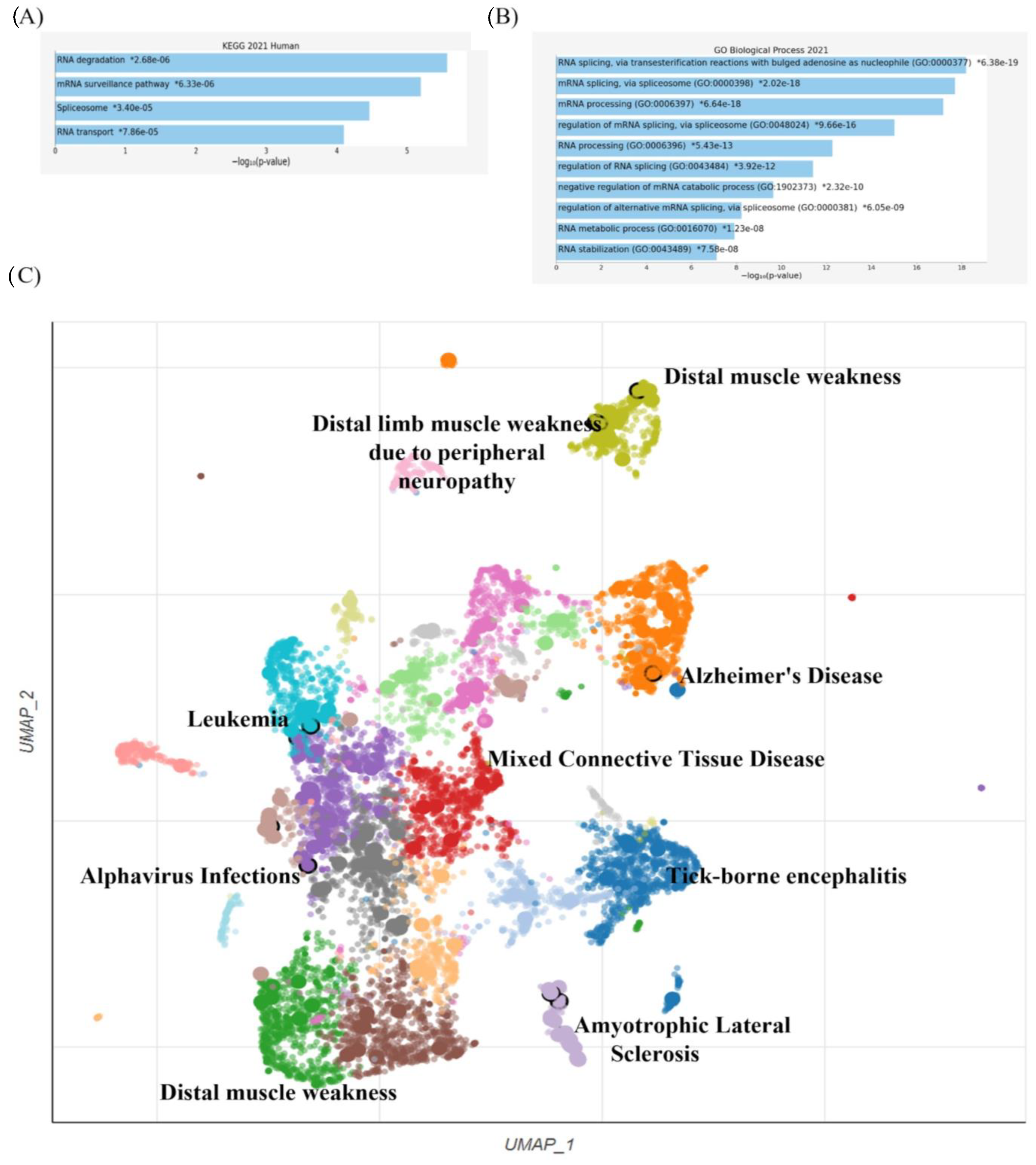 Ijms 24 11051 g003 Ijms 24 11051 g003