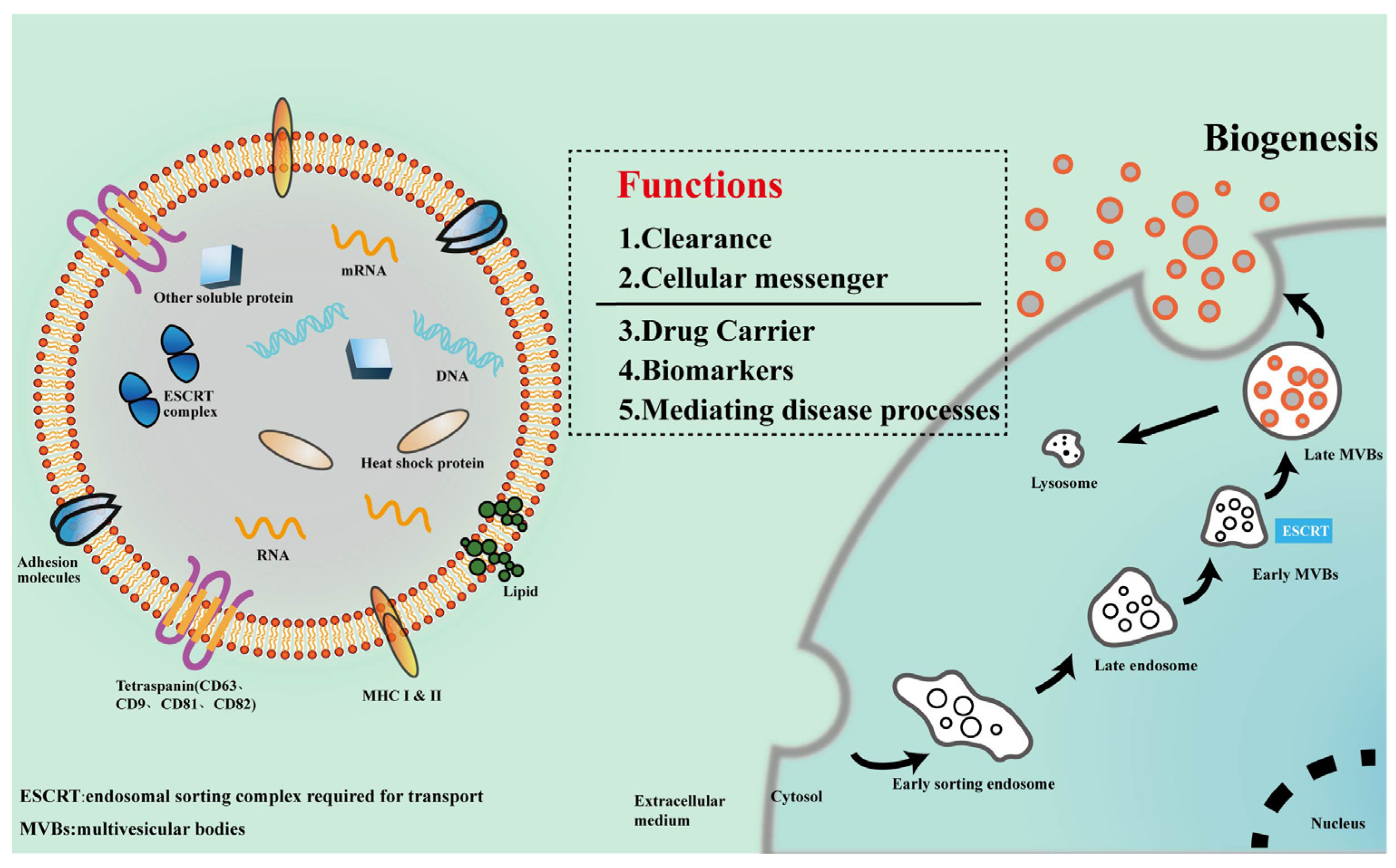 Natural Bioactive Molecules as Neuromedicines for the Treatment/Prevention  of Neurodegenerative Diseases