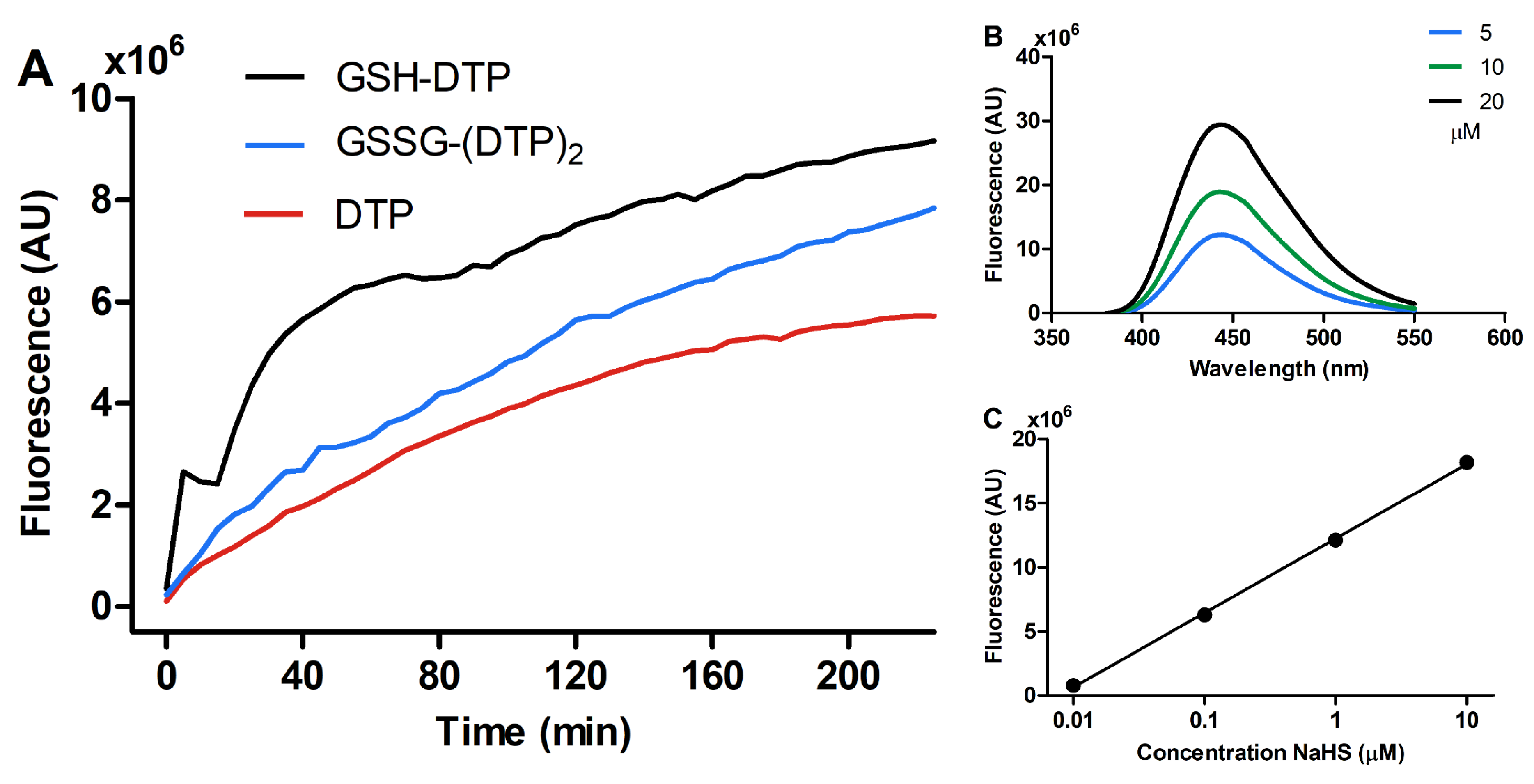 Ijms 24 11063 g002 Ijms 24 11063 g002